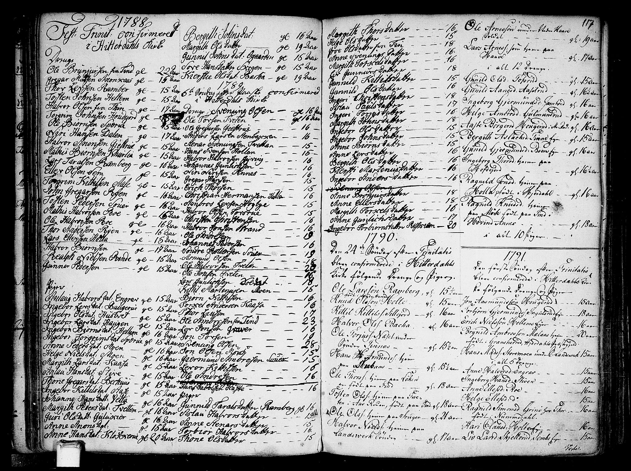 Heddal kirkebøker, SAKO/A-268/F/Fa/L0004: Parish register (official) no. I 4, 1784-1814, p. 117