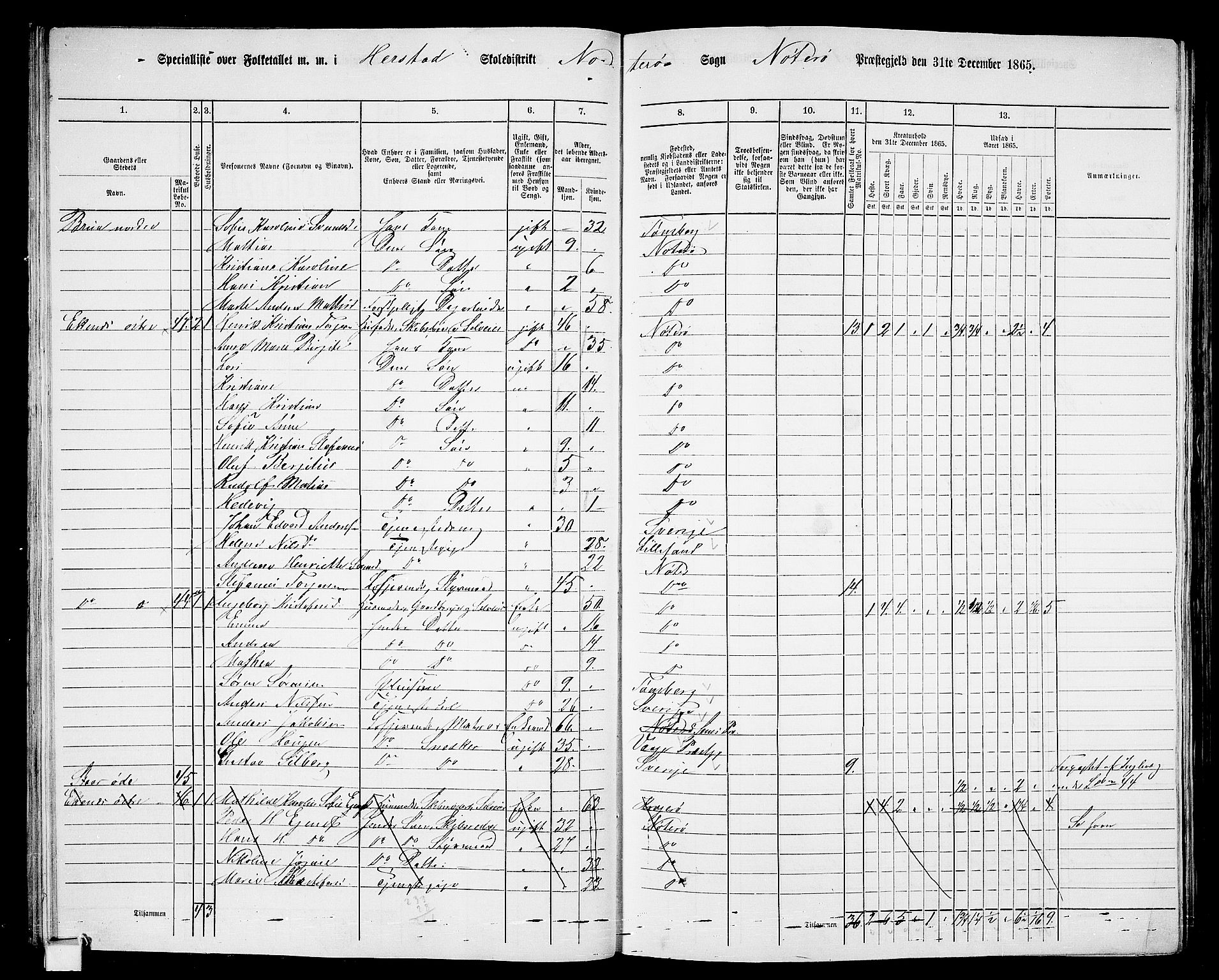 RA, 1865 census for Nøtterøy, 1865, p. 35