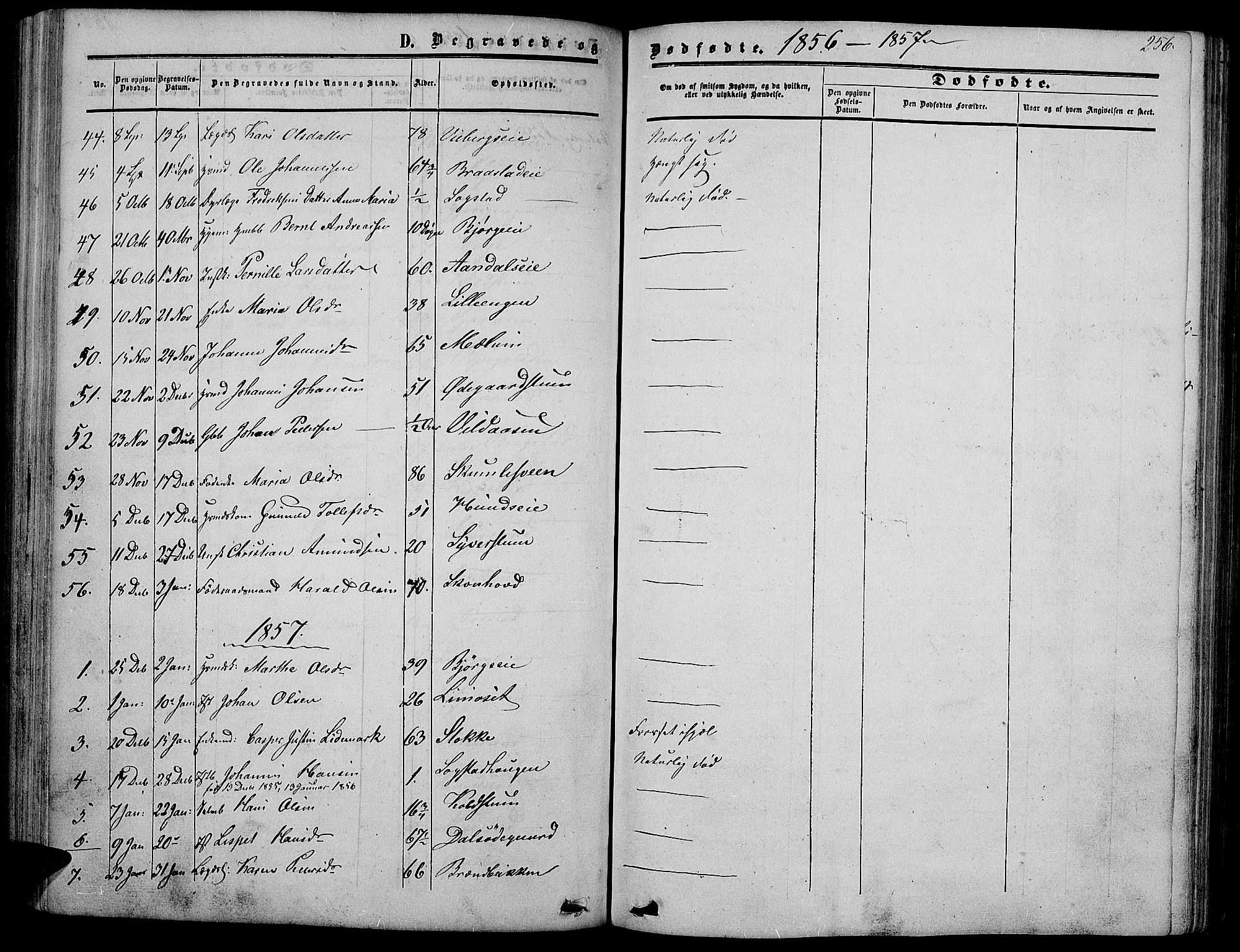 Vardal prestekontor, SAH/PREST-100/H/Ha/Hab/L0005: Parish register (copy) no. 5, 1854-1868, p. 256