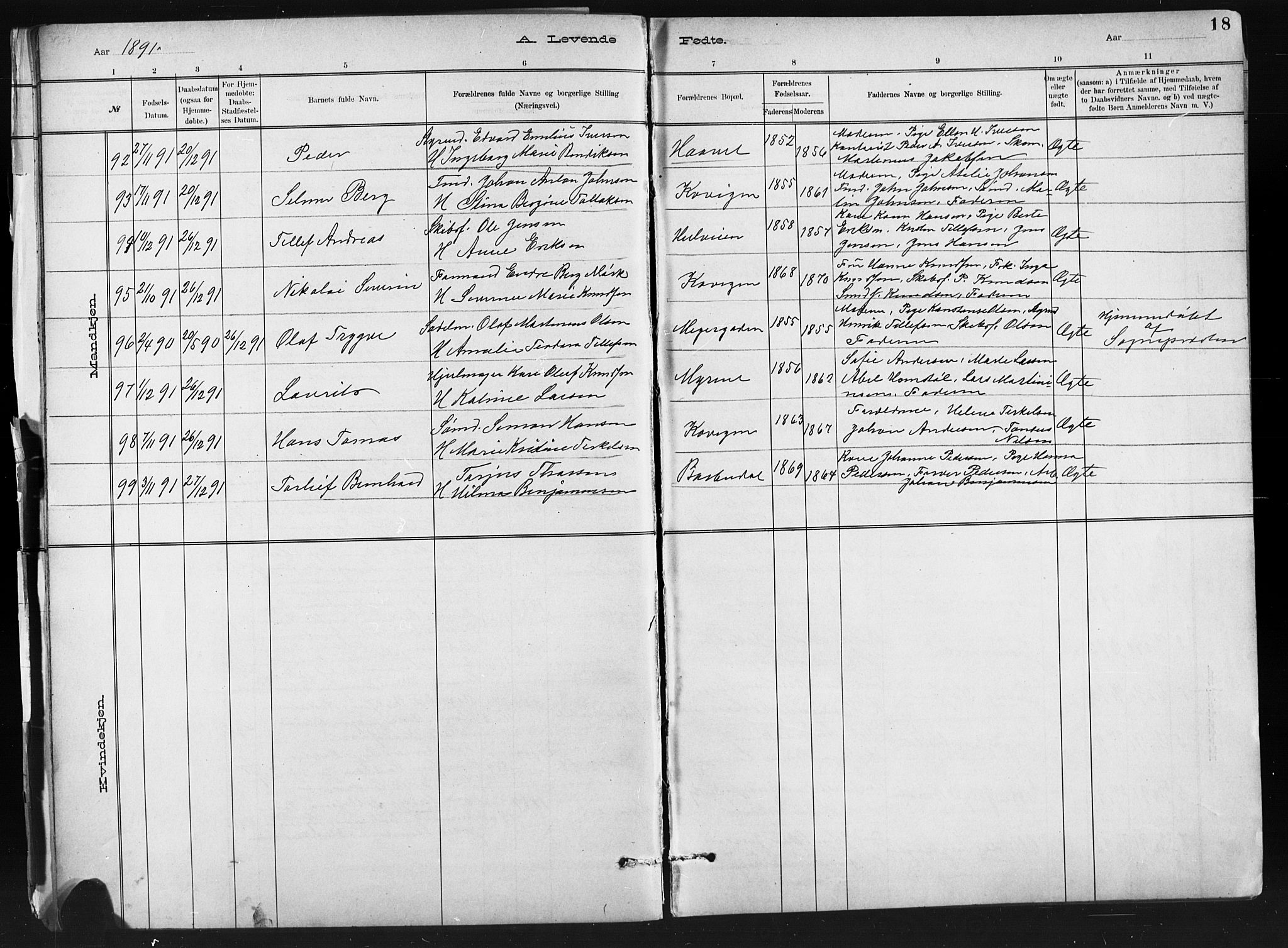 Barbu sokneprestkontor, AV/SAK-1111-0003/F/Fb/L0002: Parish register (copy) no. B 2, 1890-1922, p. 18