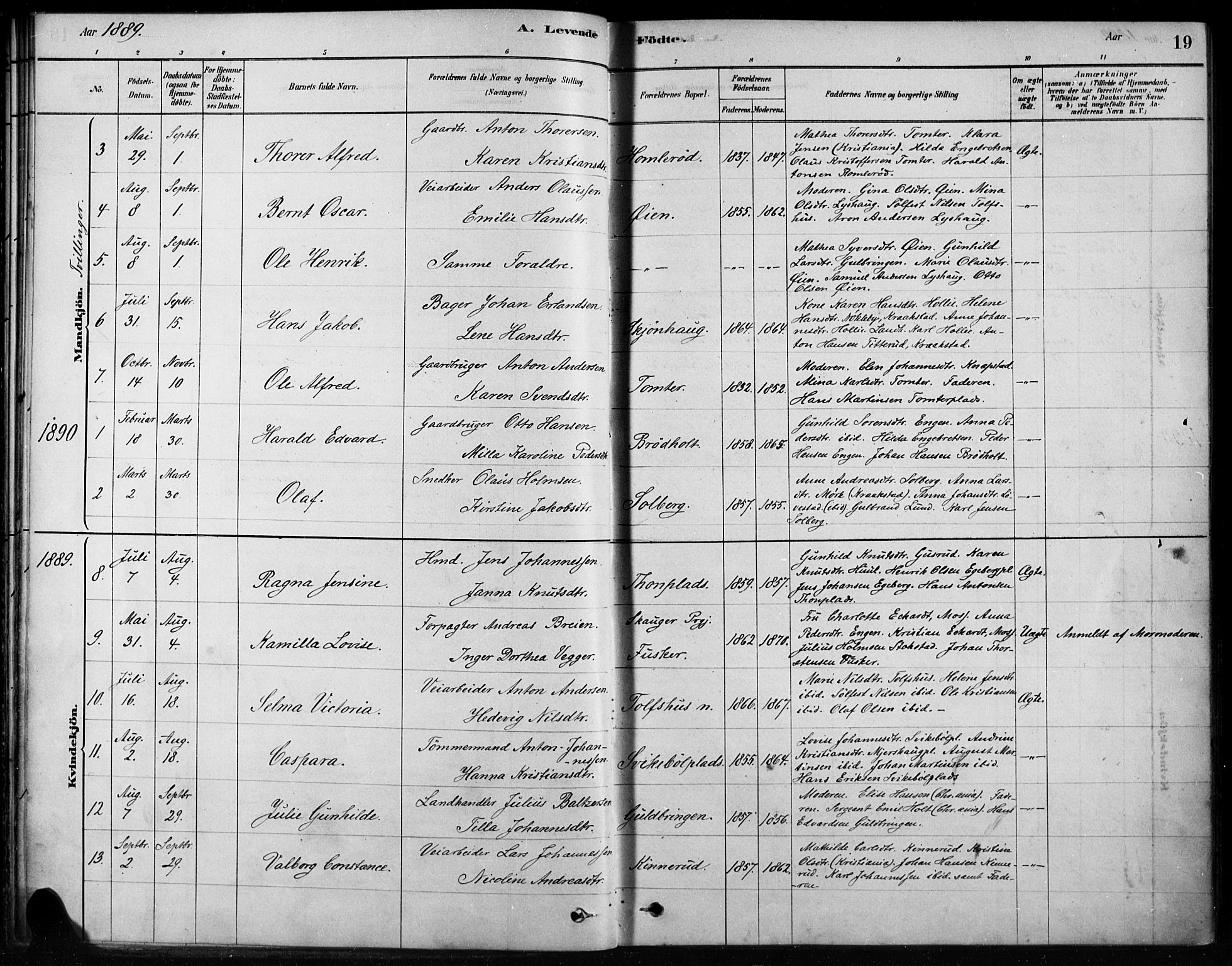 Hobøl prestekontor Kirkebøker, AV/SAO-A-2002/F/Fb/L0001: Parish register (official) no. II 1, 1878-1904, p. 19