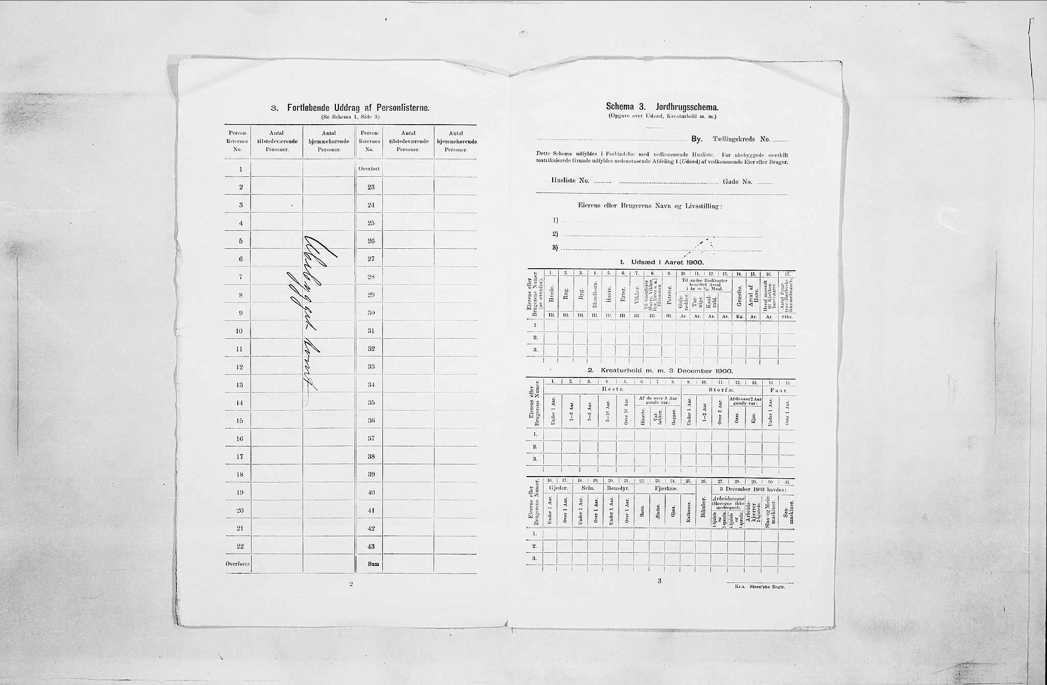 SAO, 1900 census for Fredrikstad, 1900