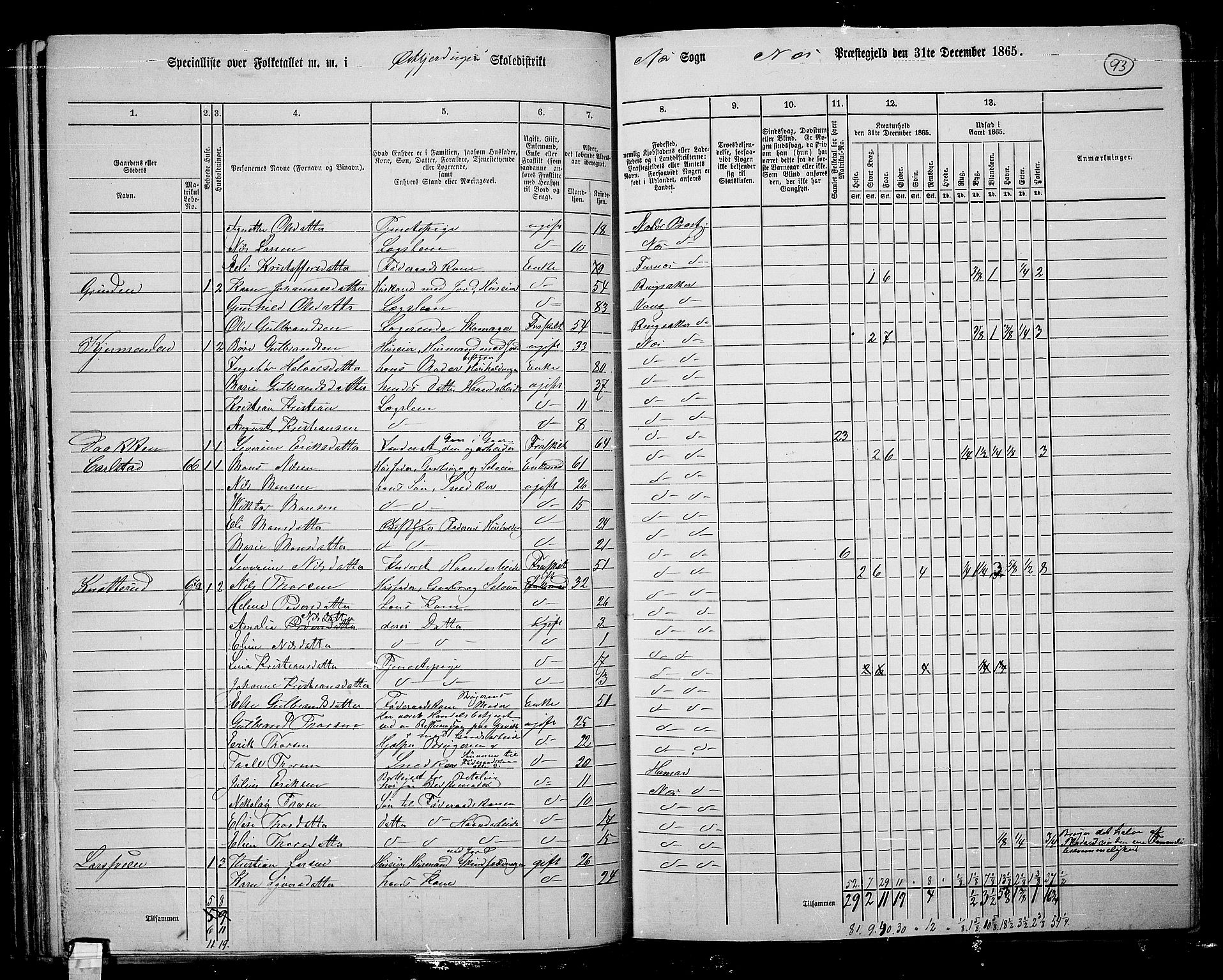 RA, 1865 census for Nes, 1865, p. 81