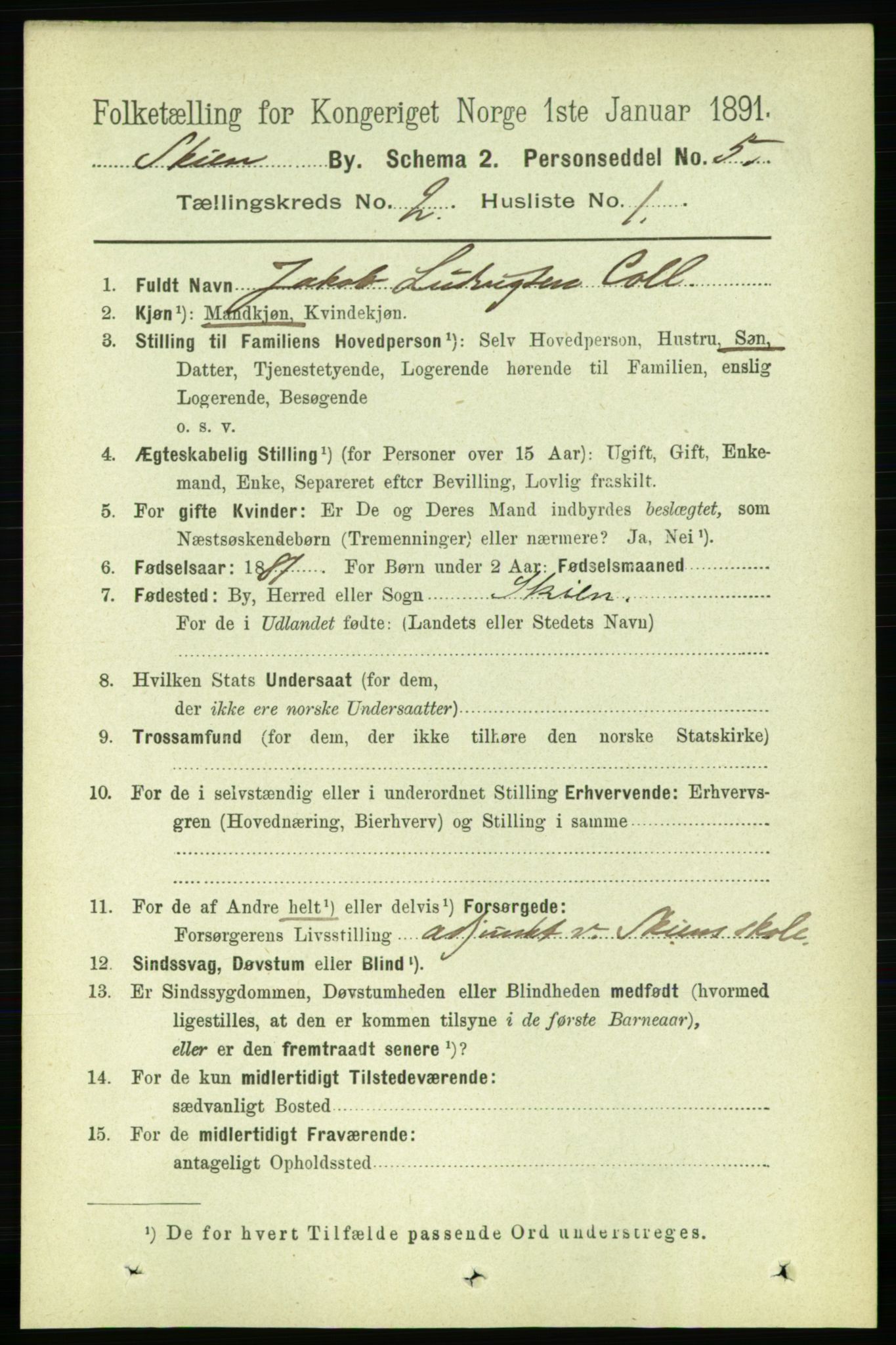 RA, 1891 census for 0806 Skien, 1891, p. 2313