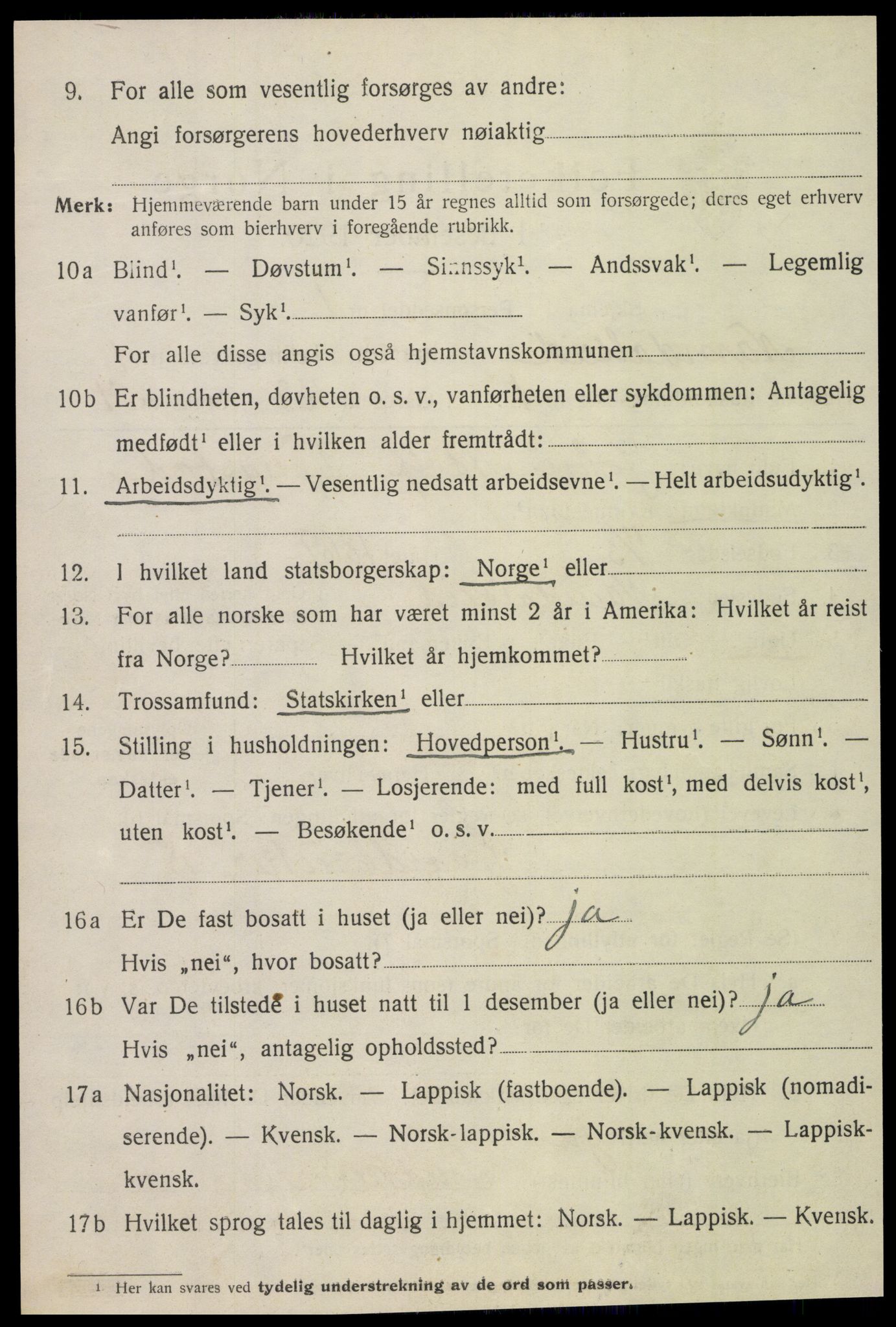 SAT, 1920 census for Namdalseid, 1920, p. 523