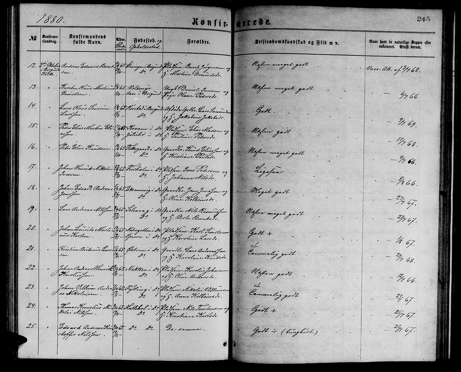 Ministerialprotokoller, klokkerbøker og fødselsregistre - Møre og Romsdal, AV/SAT-A-1454/528/L0429: Parish register (copy) no. 528C10, 1872-1886, p. 245