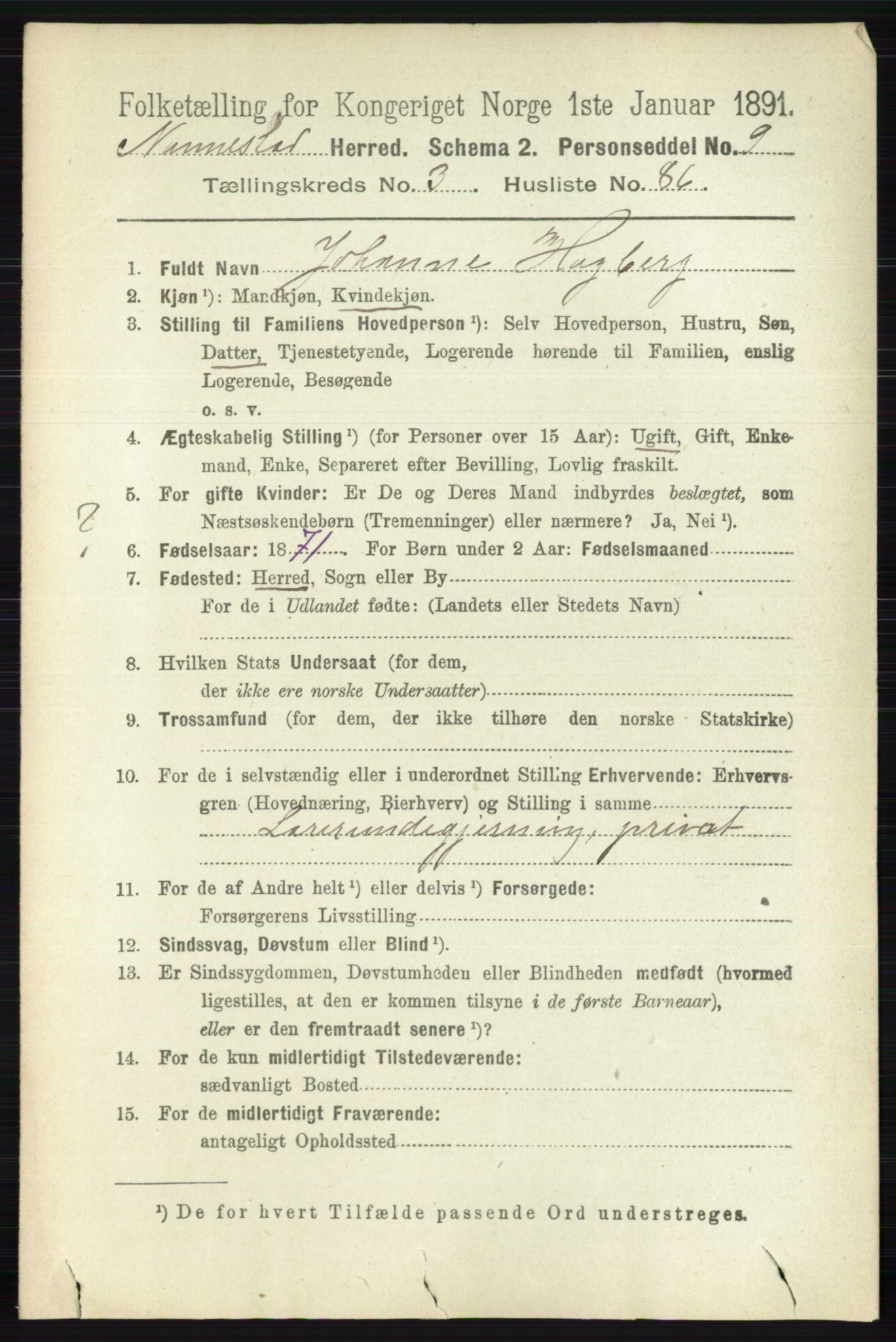 RA, 1891 census for 0238 Nannestad, 1891, p. 1965