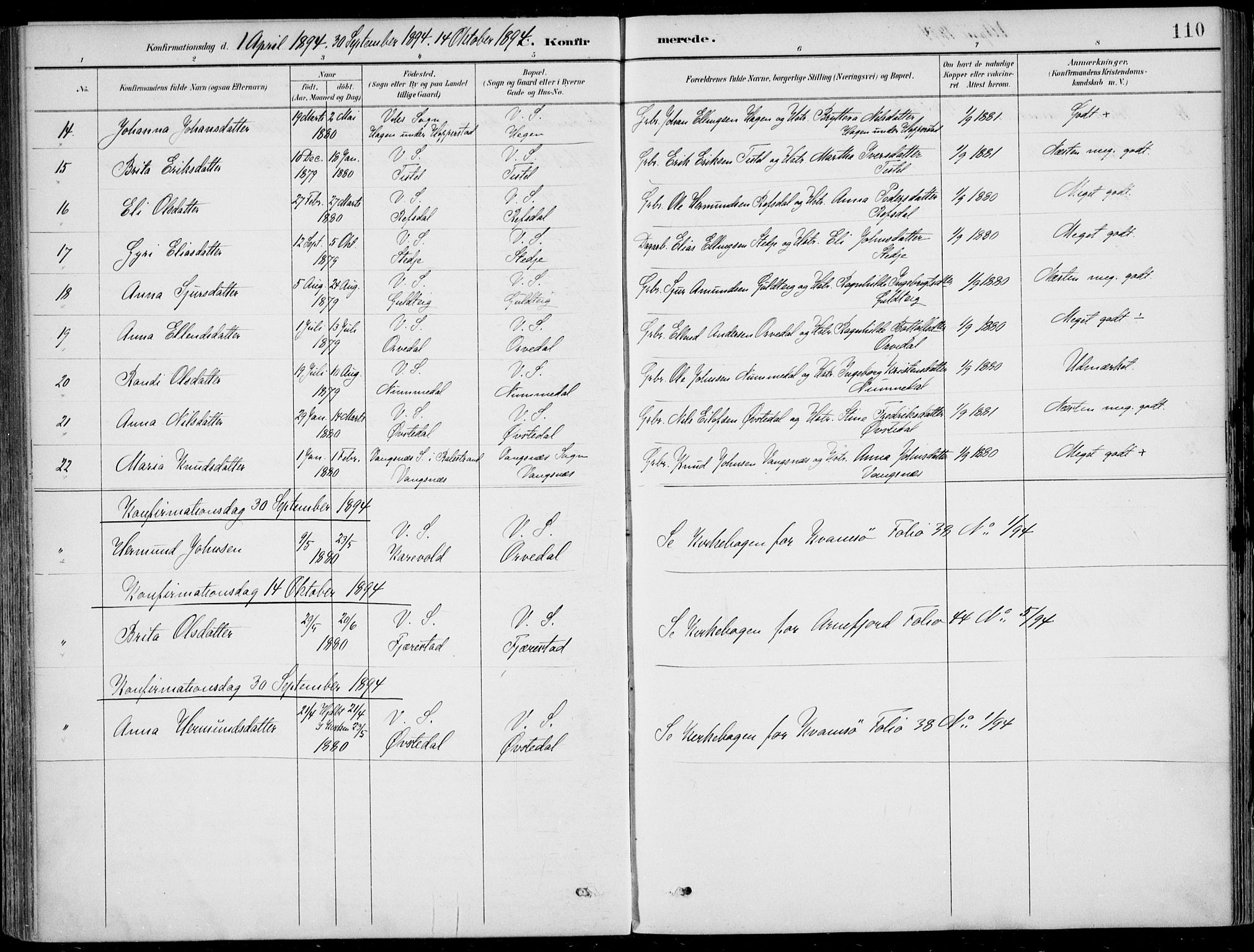 Vik sokneprestembete, AV/SAB-A-81501/H/Haa/Haab/L0002: Parish register (official) no. B  2, 1891-1907, p. 110