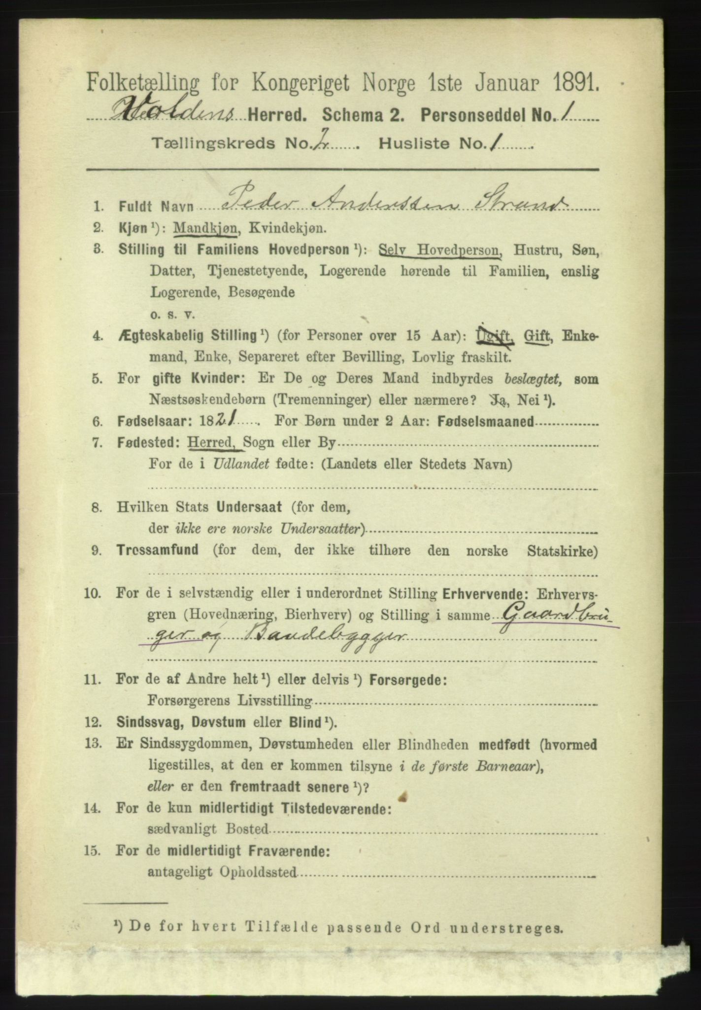 RA, 1891 census for 1519 Volda, 1891, p. 739