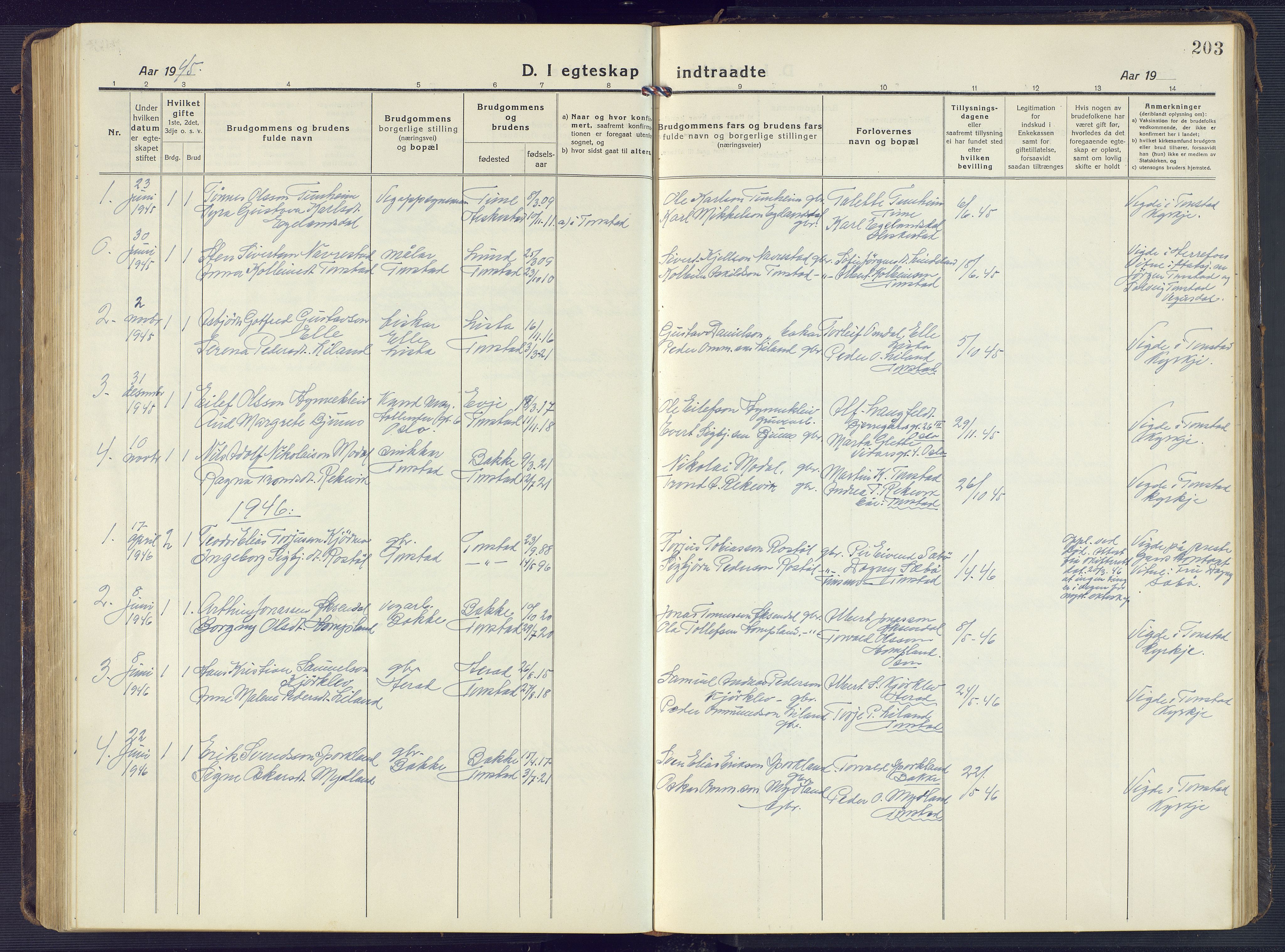Sirdal sokneprestkontor, SAK/1111-0036/F/Fb/Fbb/L0005: Parish register (copy) no. B 5, 1916-1960, p. 203
