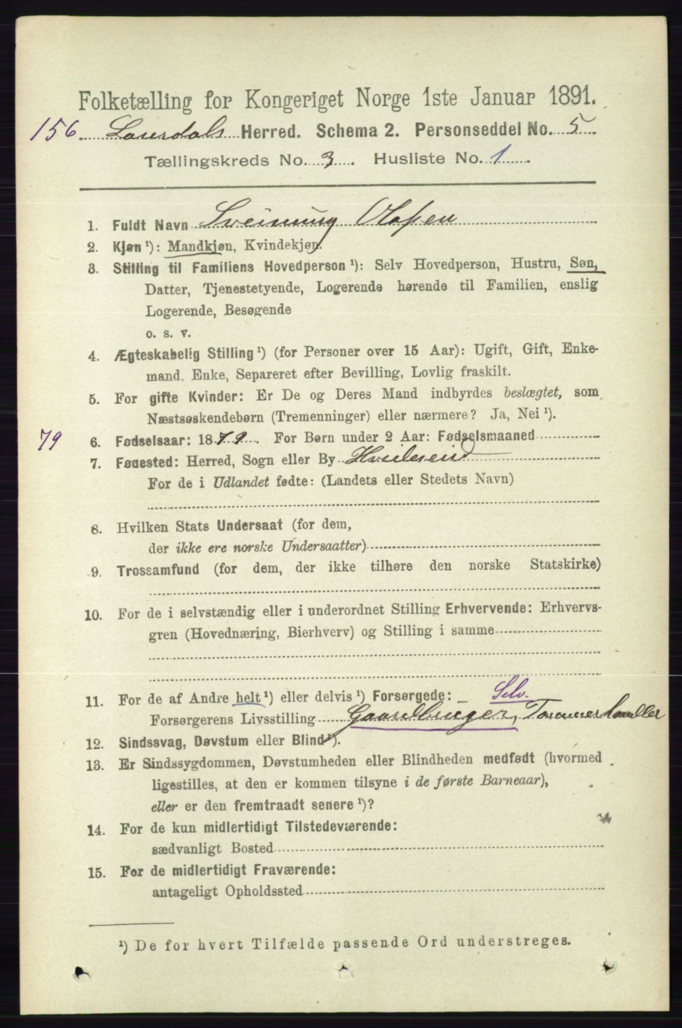 RA, 1891 census for 0833 Lårdal, 1891, p. 802