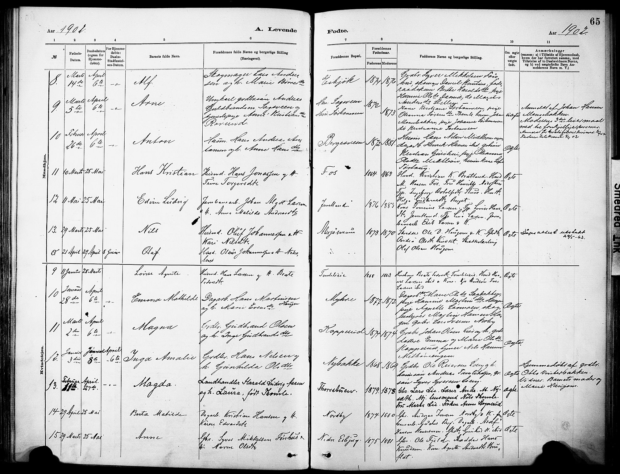 Nordre Land prestekontor, SAH/PREST-124/H/Ha/Haa/L0005: Parish register (official) no. 5, 1882-1903, p. 65