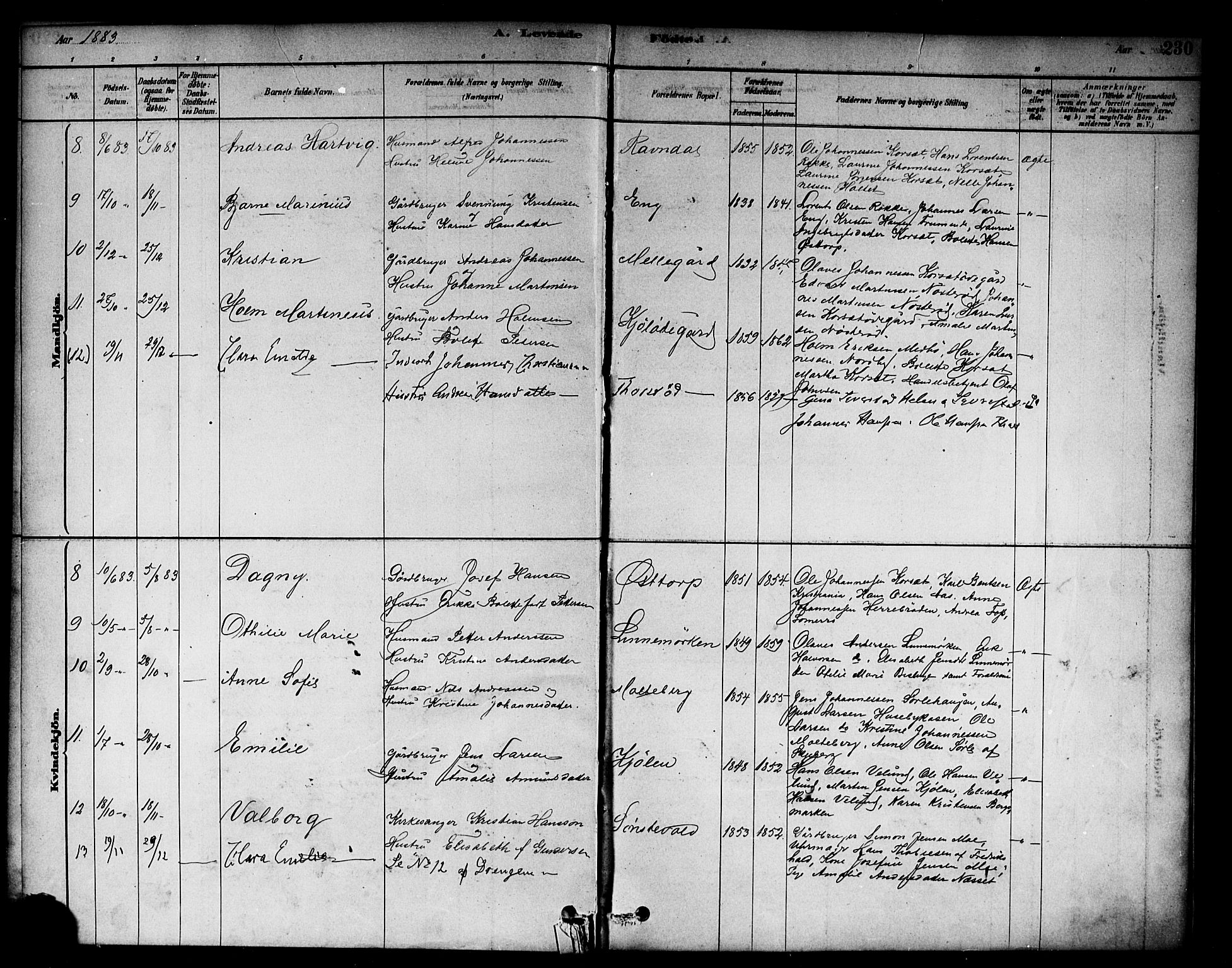 Berg prestekontor Kirkebøker, AV/SAO-A-10902/F/Fc/L0001: Parish register (official) no. III 1, 1878-1887, p. 230