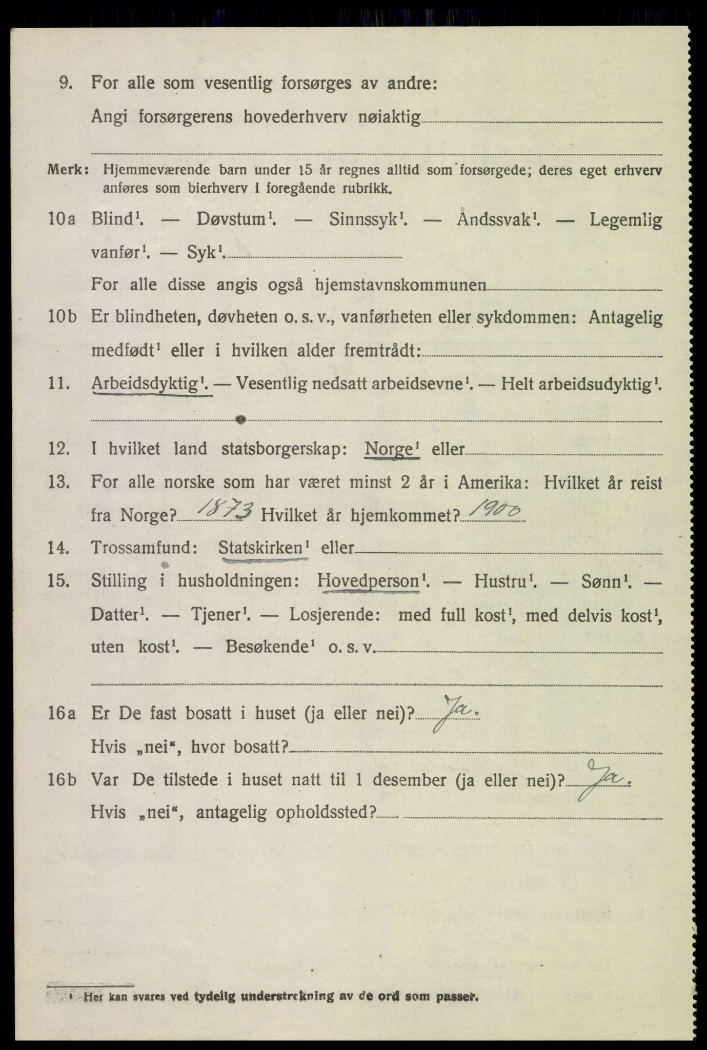 SAH, 1920 census for Lom, 1920, p. 4239