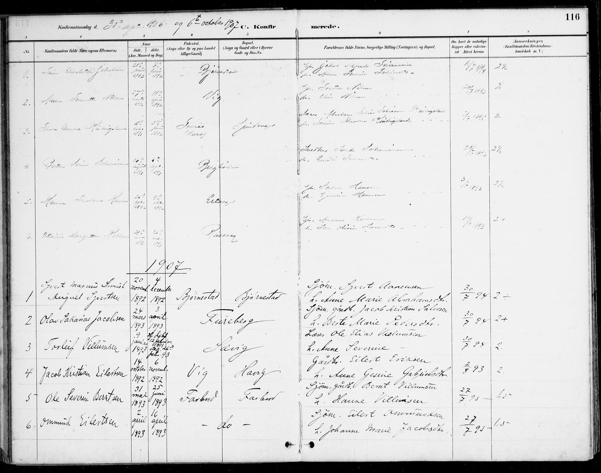 Herad sokneprestkontor, AV/SAK-1111-0018/F/Fa/Fab/L0005: Parish register (official) no. A 5, 1886-1913, p. 116