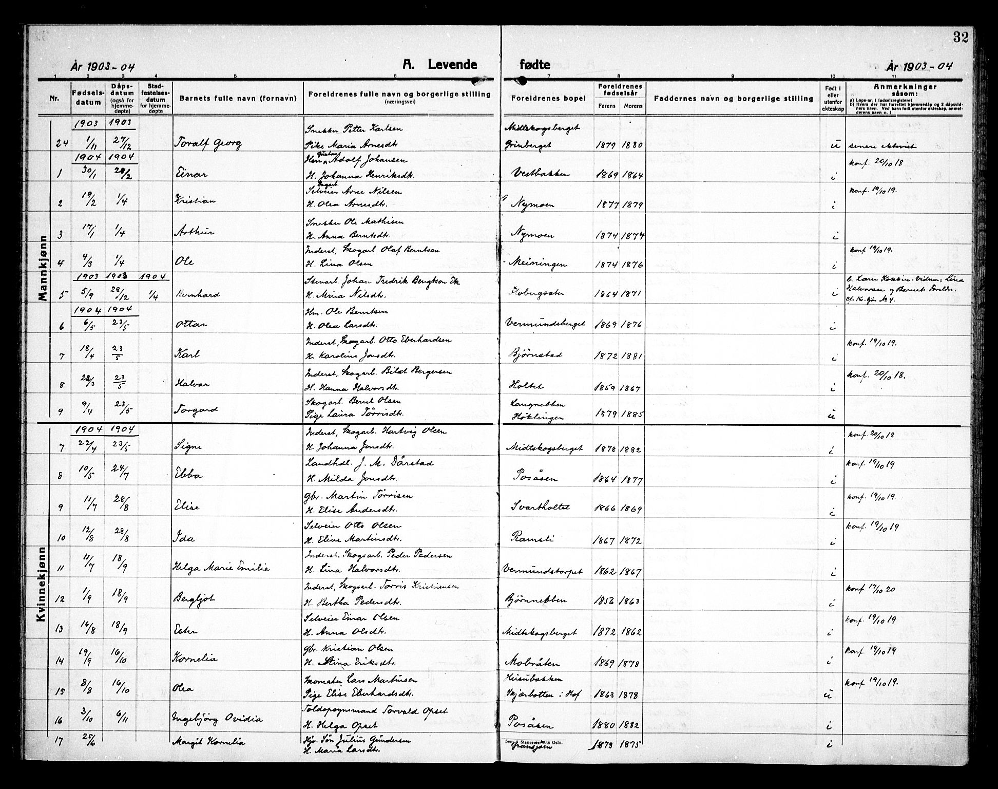 Åsnes prestekontor, AV/SAH-PREST-042/H/Ha/Haa/L0000E: Parish register (official) no. 0C, 1890-1929, p. 32