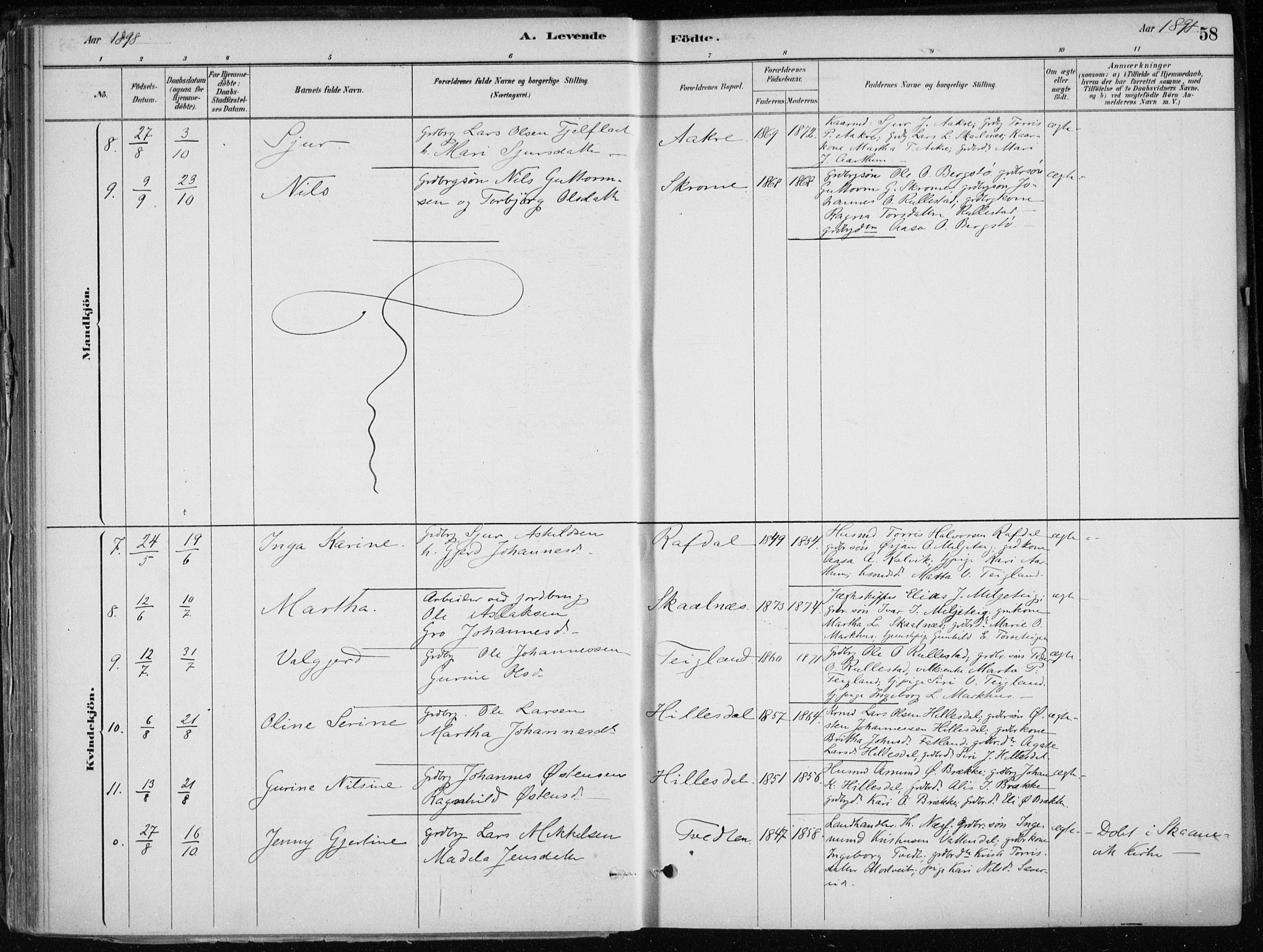 Skånevik sokneprestembete, AV/SAB-A-77801/H/Haa: Parish register (official) no. E  1, 1879-1901, p. 58