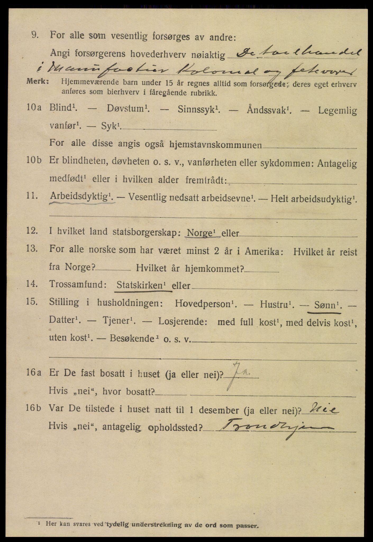 SAT, 1920 census for Namsos, 1920, p. 2020