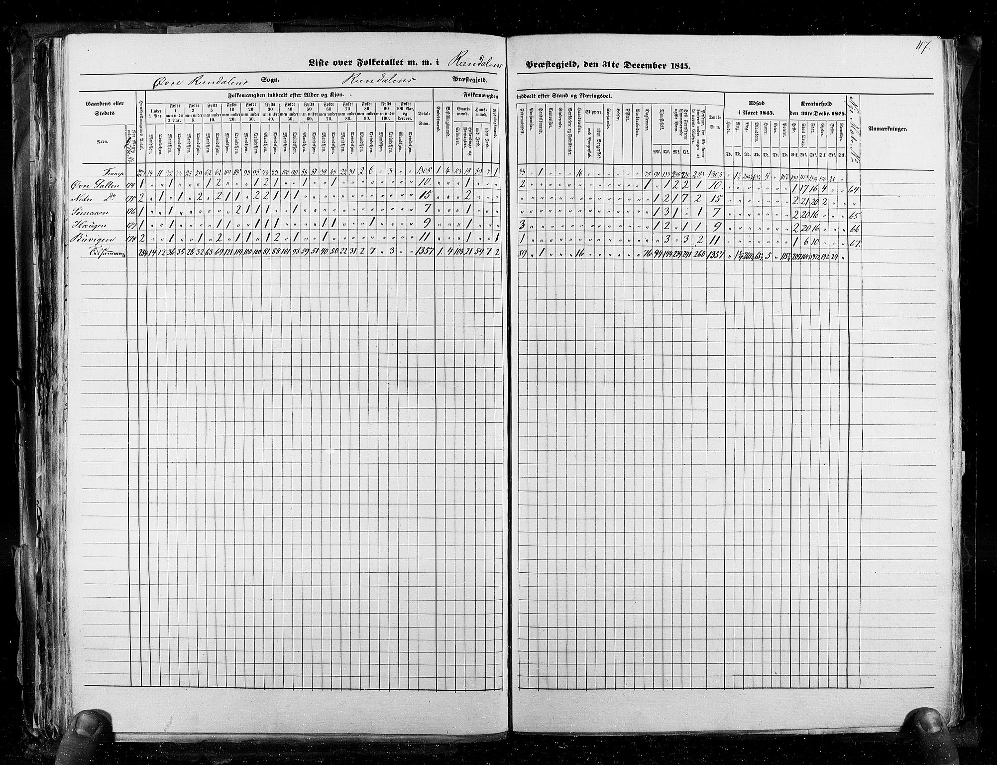 RA, Census 1845, vol. 3: Hedemarken amt og Kristians amt, 1845, p. 117