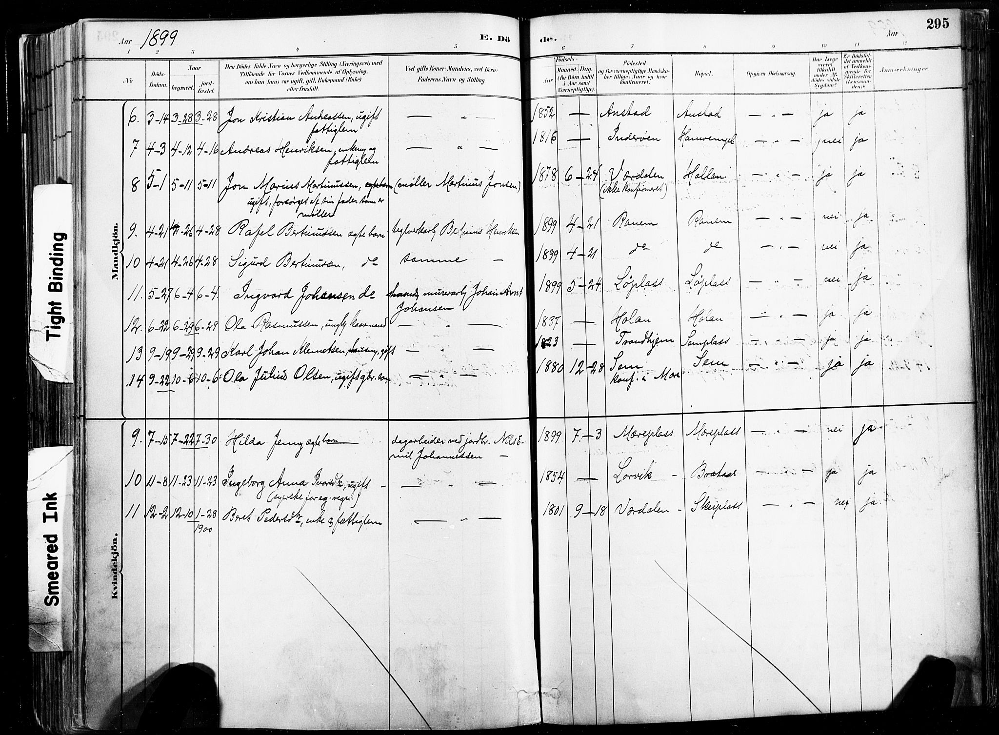 Ministerialprotokoller, klokkerbøker og fødselsregistre - Nord-Trøndelag, SAT/A-1458/735/L0351: Parish register (official) no. 735A10, 1884-1908, p. 295