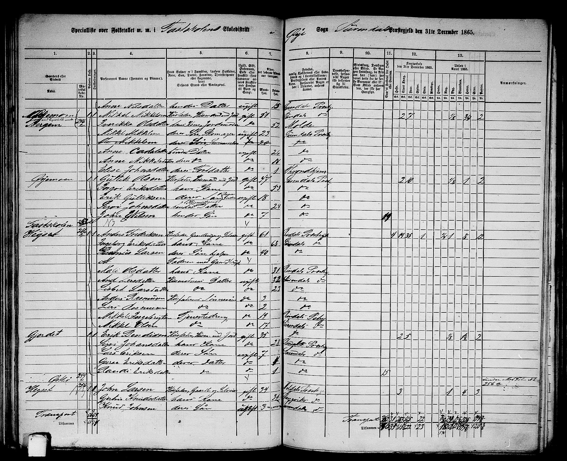 RA, 1865 census for Surnadal, 1865, p. 124