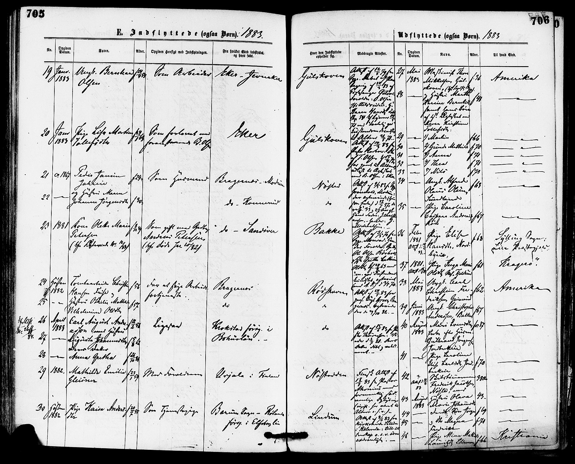 Skoger kirkebøker, AV/SAKO-A-59/F/Fa/L0005: Parish register (official) no. I 5, 1873-1884, p. 705-706