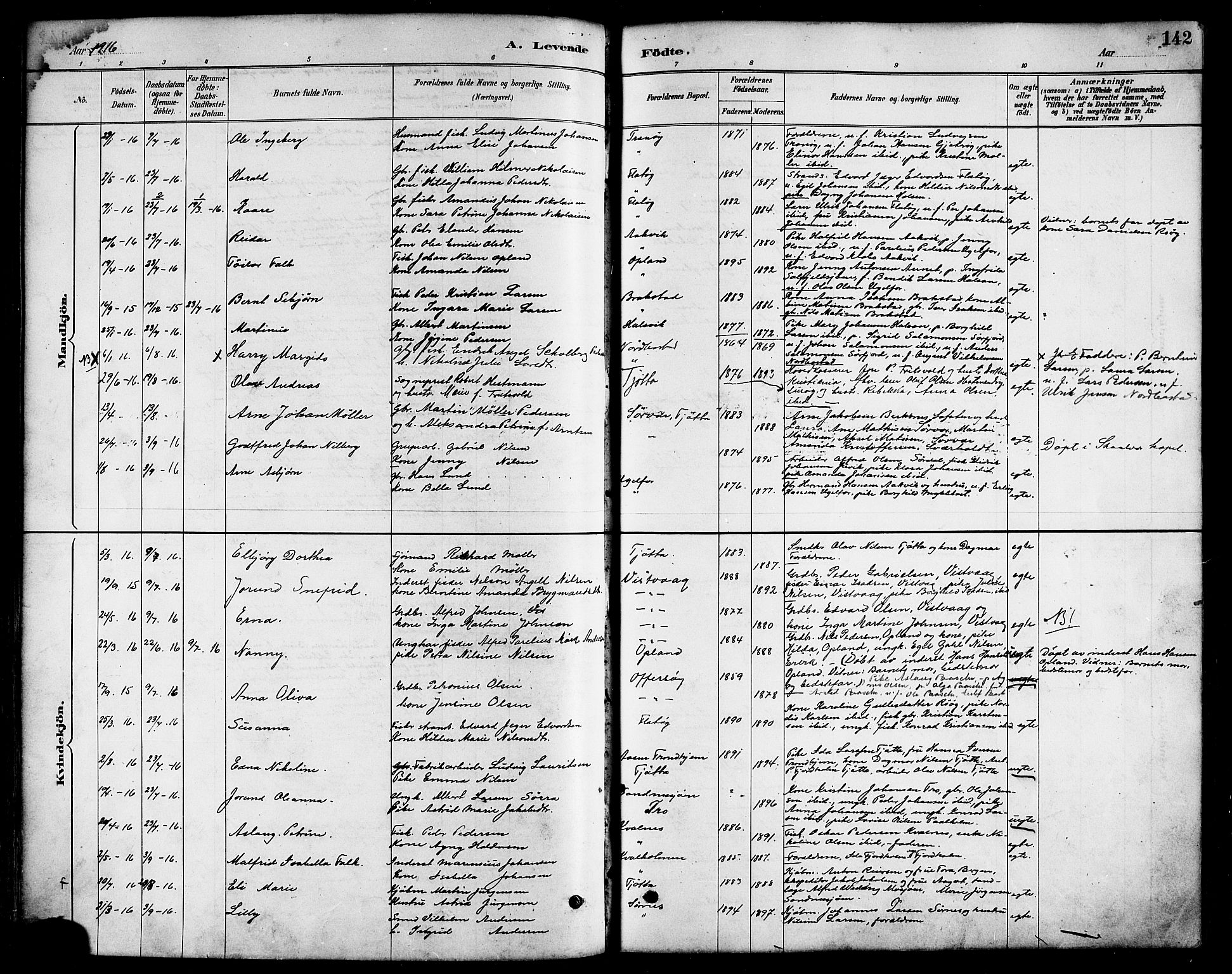 Ministerialprotokoller, klokkerbøker og fødselsregistre - Nordland, AV/SAT-A-1459/817/L0268: Parish register (copy) no. 817C03, 1884-1920, p. 142