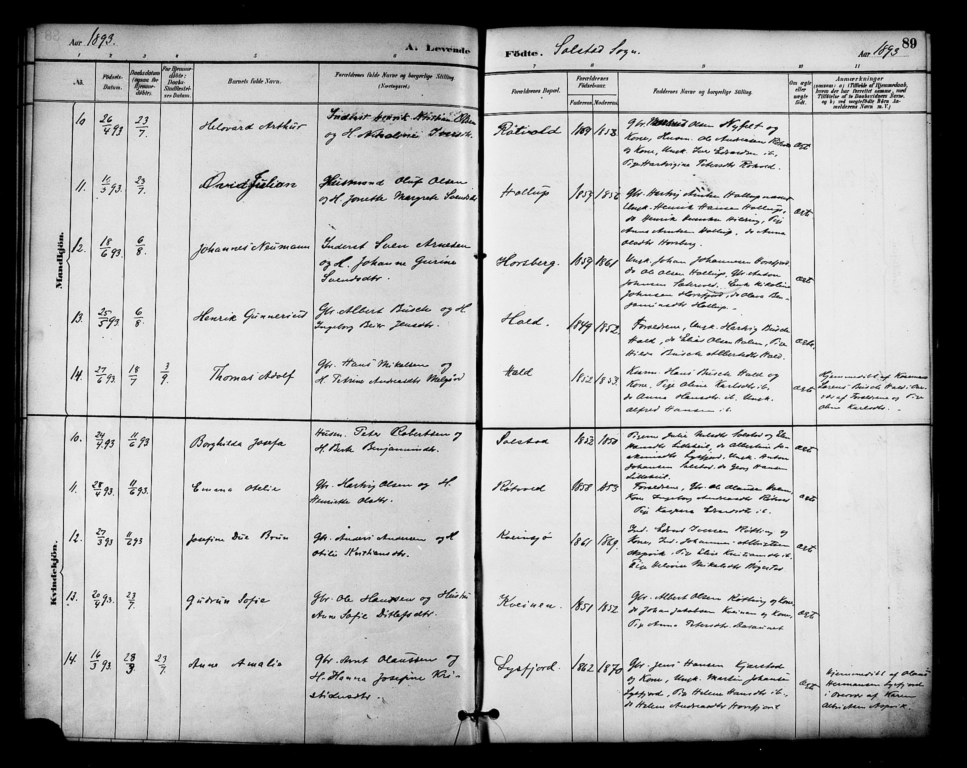 Ministerialprotokoller, klokkerbøker og fødselsregistre - Nordland, SAT/A-1459/810/L0151: Parish register (official) no. 810A10 /2, 1885-1895, p. 89