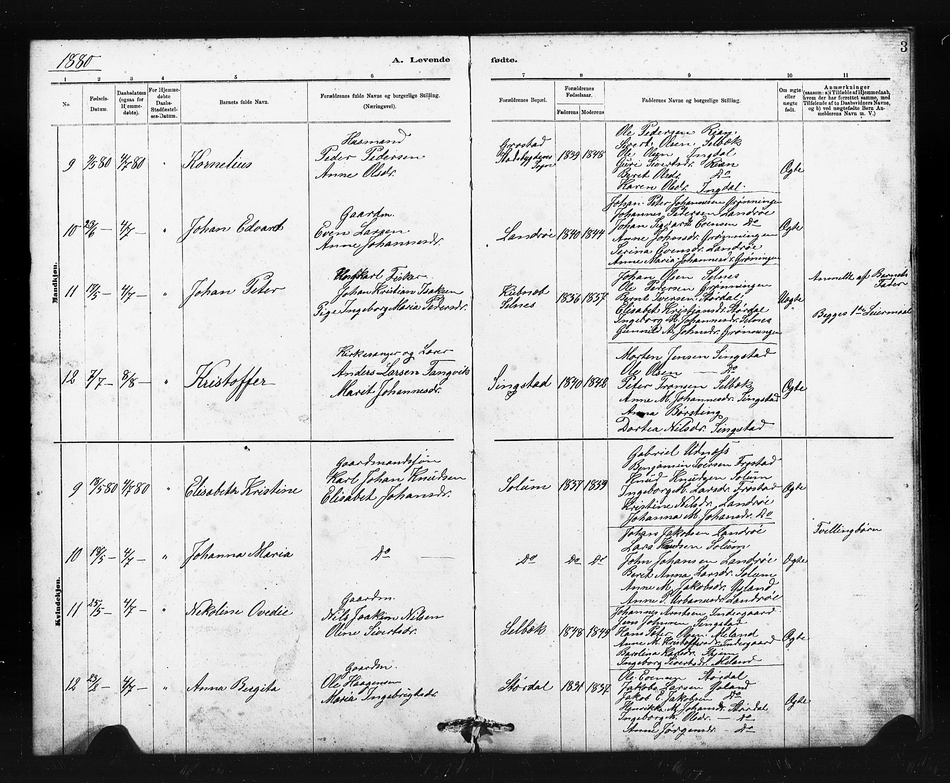 Ministerialprotokoller, klokkerbøker og fødselsregistre - Sør-Trøndelag, SAT/A-1456/663/L0761: Parish register (copy) no. 663C01, 1880-1893, p. 3