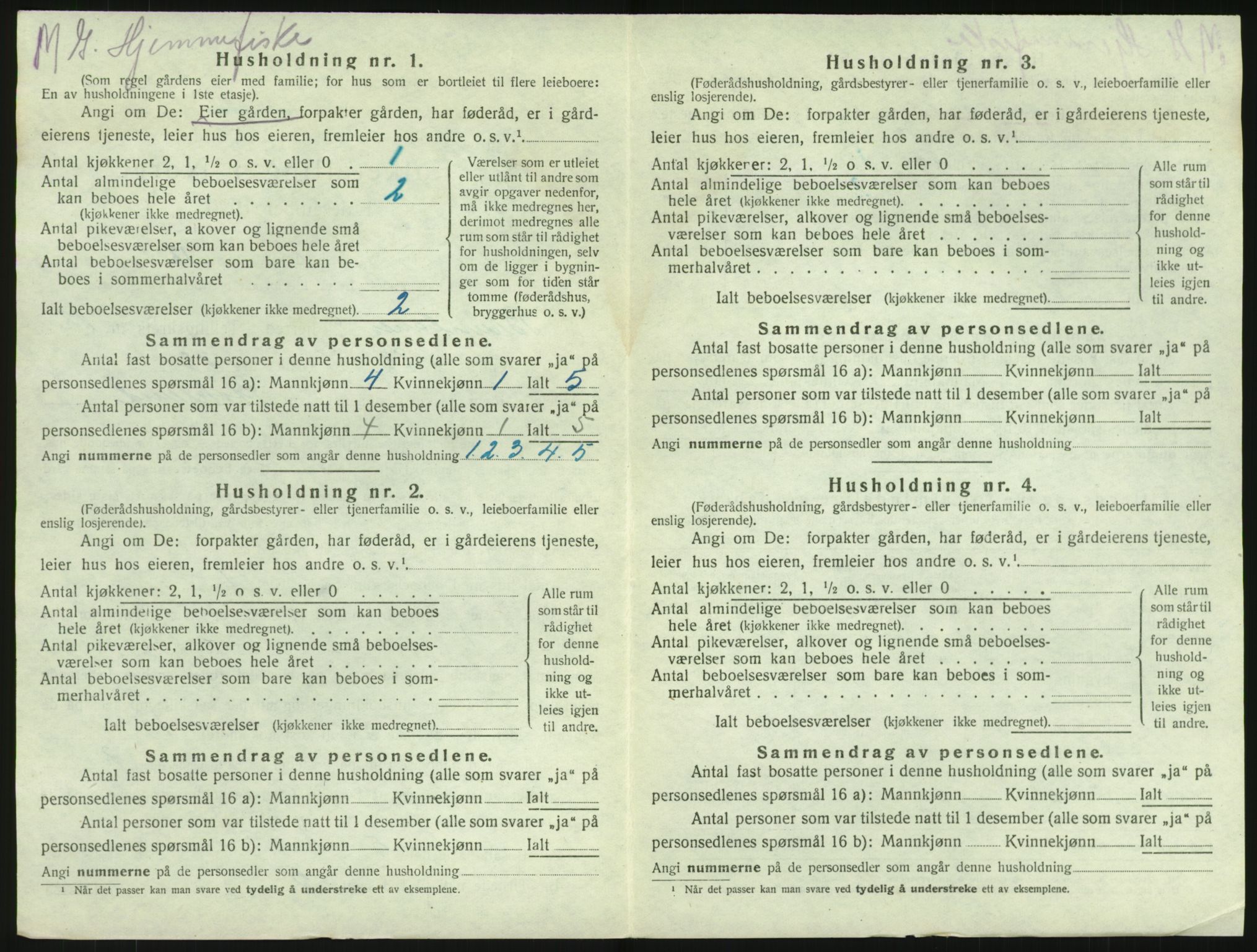 SAKO, 1920 census for Brunlanes, 1920, p. 1720