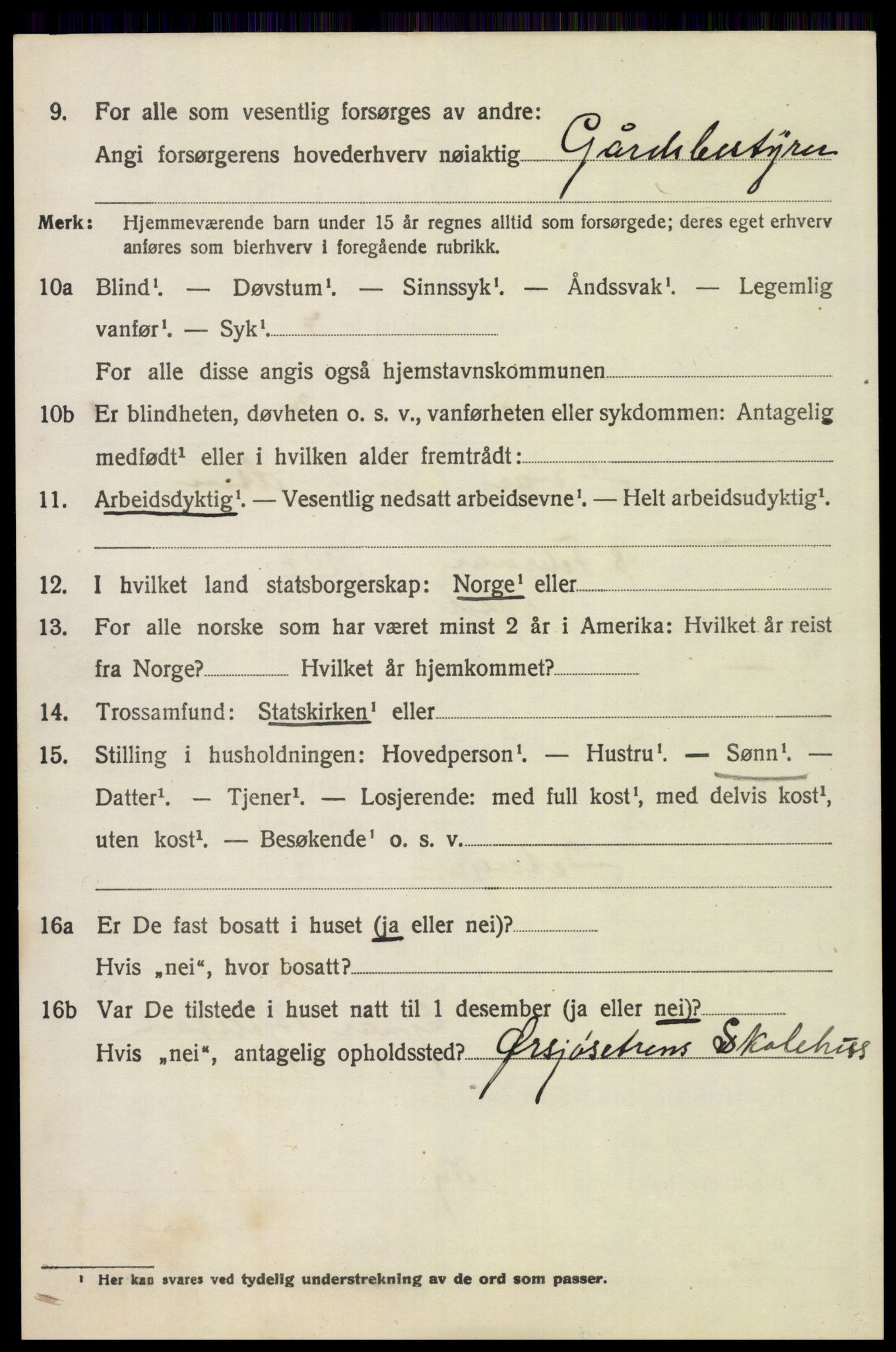 SAH, 1920 census for Trysil, 1920, p. 6956