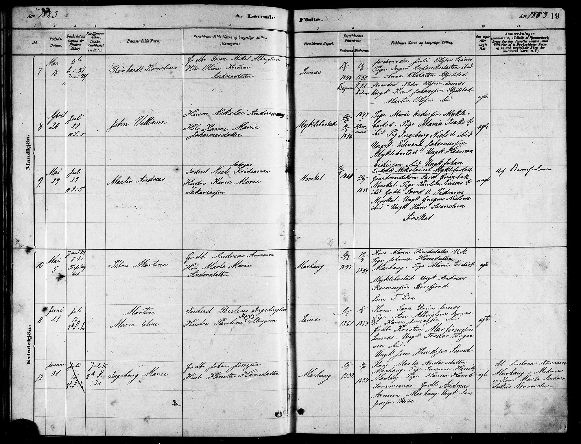 Ministerialprotokoller, klokkerbøker og fødselsregistre - Nordland, AV/SAT-A-1459/857/L0828: Parish register (copy) no. 857C03, 1879-1908, p. 19