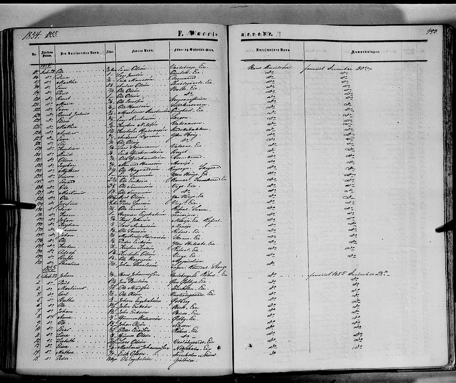 Stange prestekontor, SAH/PREST-002/K/L0012: Parish register (official) no. 12, 1852-1862, p. 493