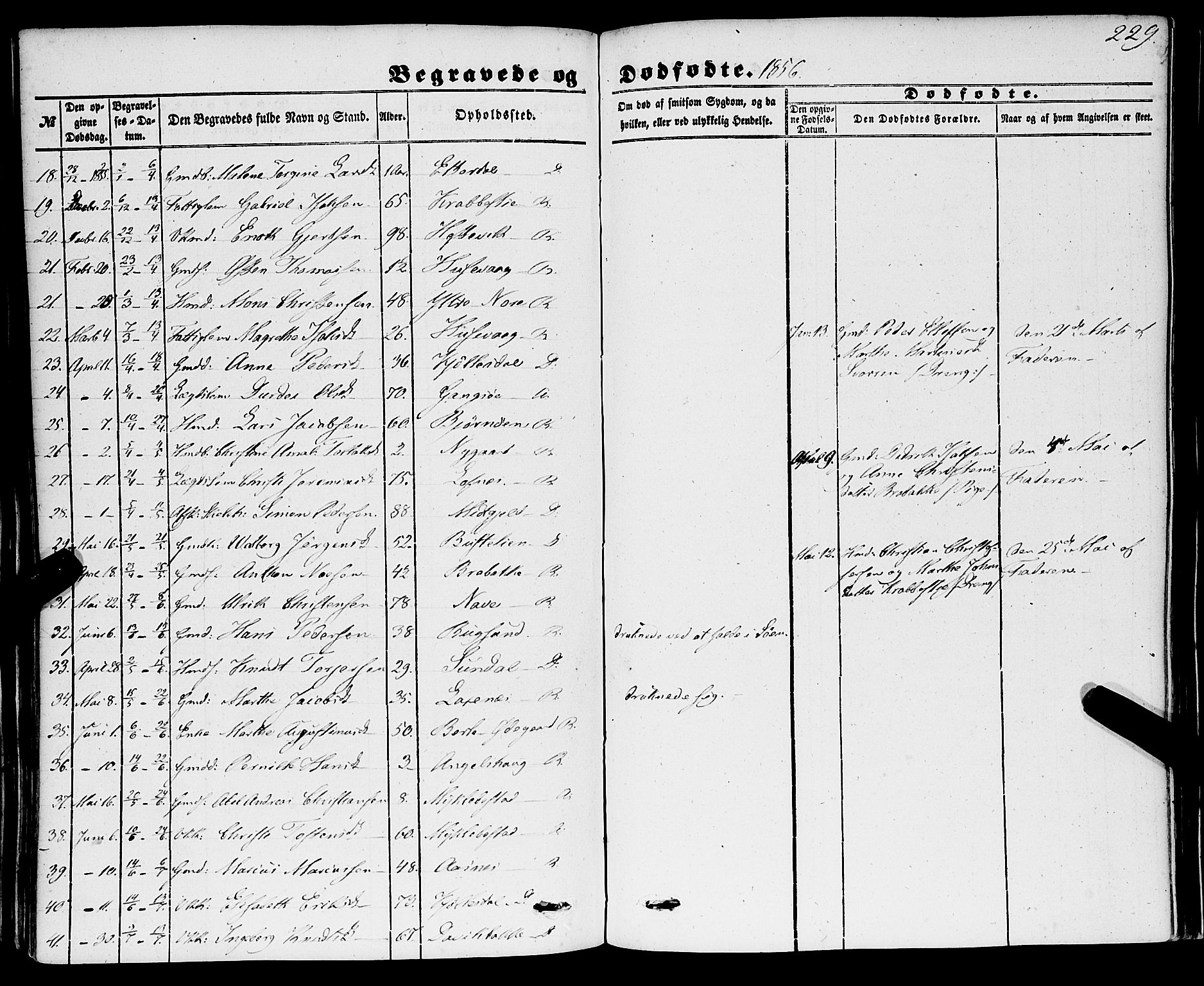 Davik sokneprestembete, SAB/A-79701/H/Haa/Haaa/L0005: Parish register (official) no. A 5, 1850-1866, p. 229