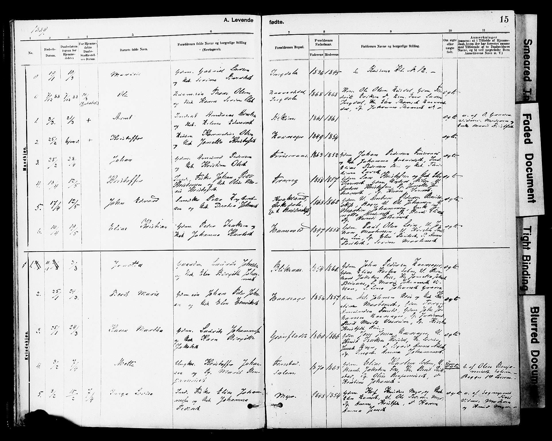 Ministerialprotokoller, klokkerbøker og fødselsregistre - Sør-Trøndelag, SAT/A-1456/646/L0615: Parish register (official) no. 646A13, 1885-1900, p. 15