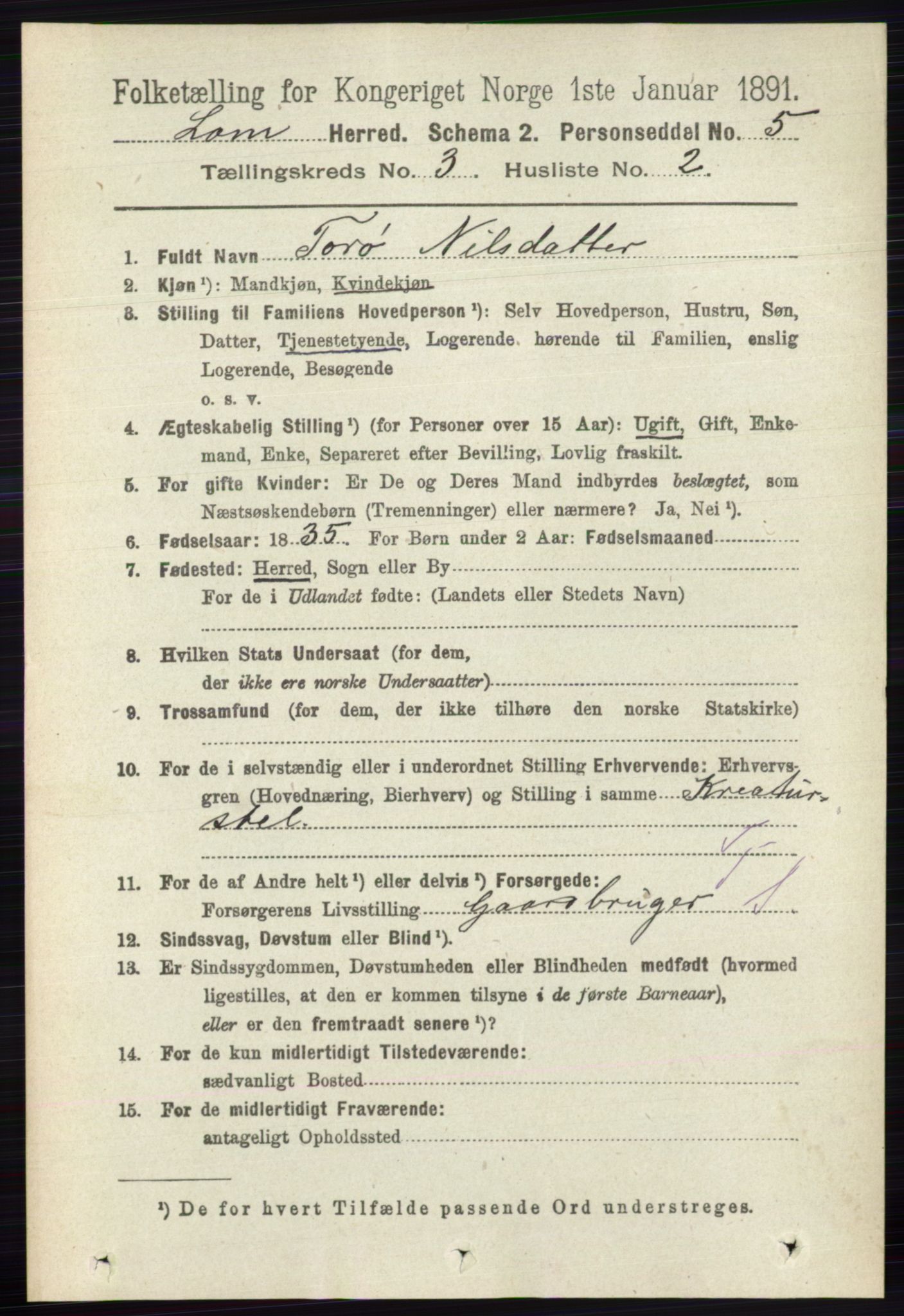 RA, 1891 census for 0514 Lom, 1891, p. 1269