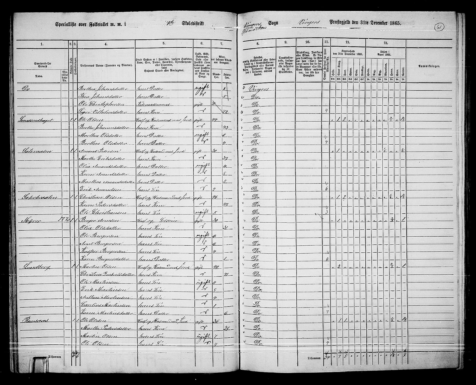 RA, 1865 census for Vinger/Vinger og Austmarka, 1865, p. 58