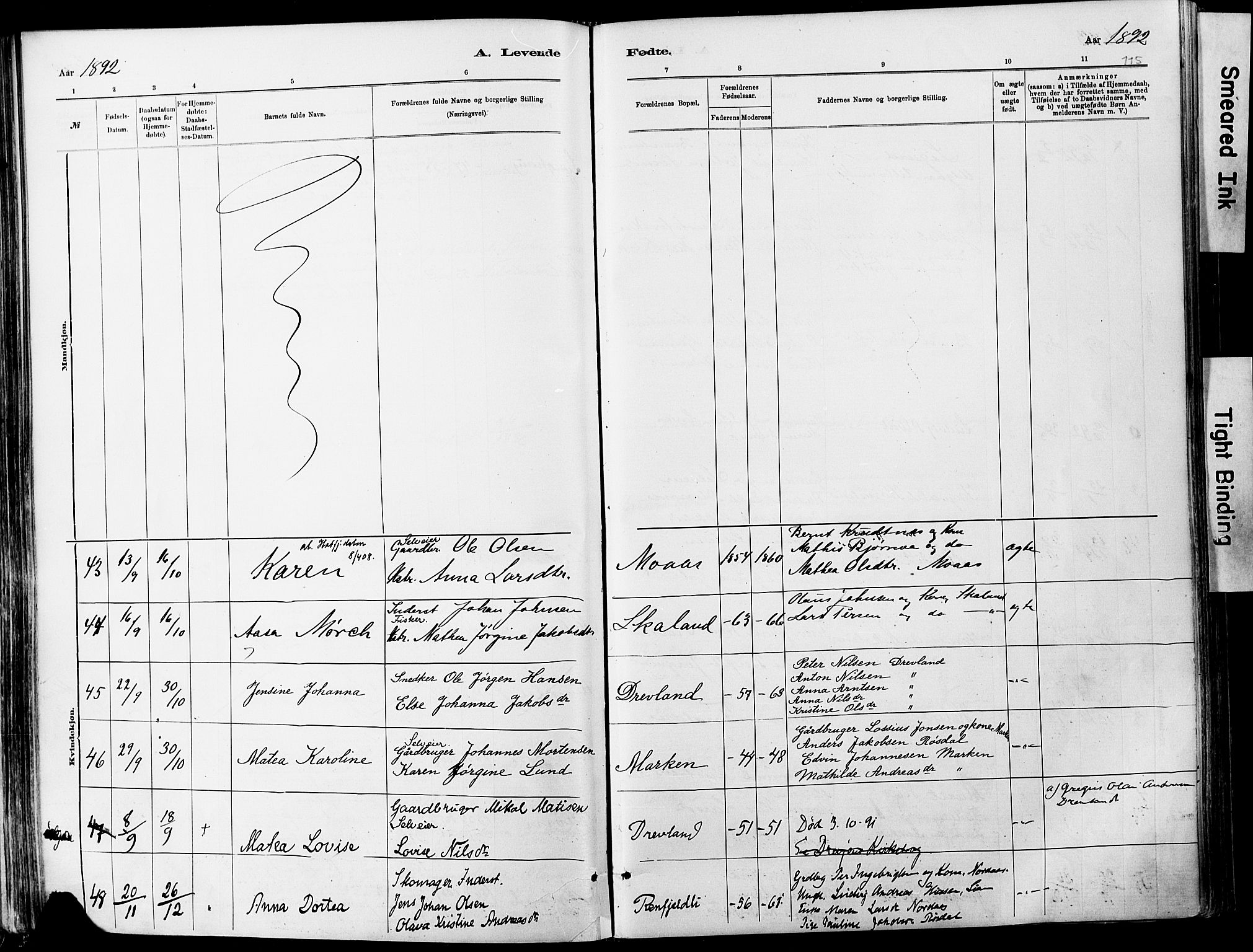Ministerialprotokoller, klokkerbøker og fødselsregistre - Nordland, SAT/A-1459/820/L0295: Parish register (official) no. 820A16, 1880-1896, p. 115
