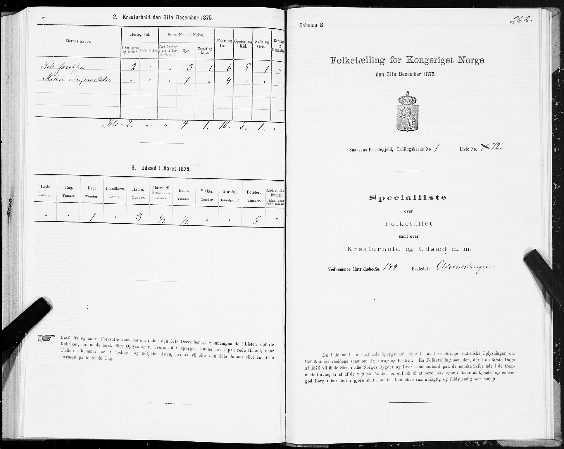 SAT, 1875 census for 1736P Snåsa, 1875, p. 3262