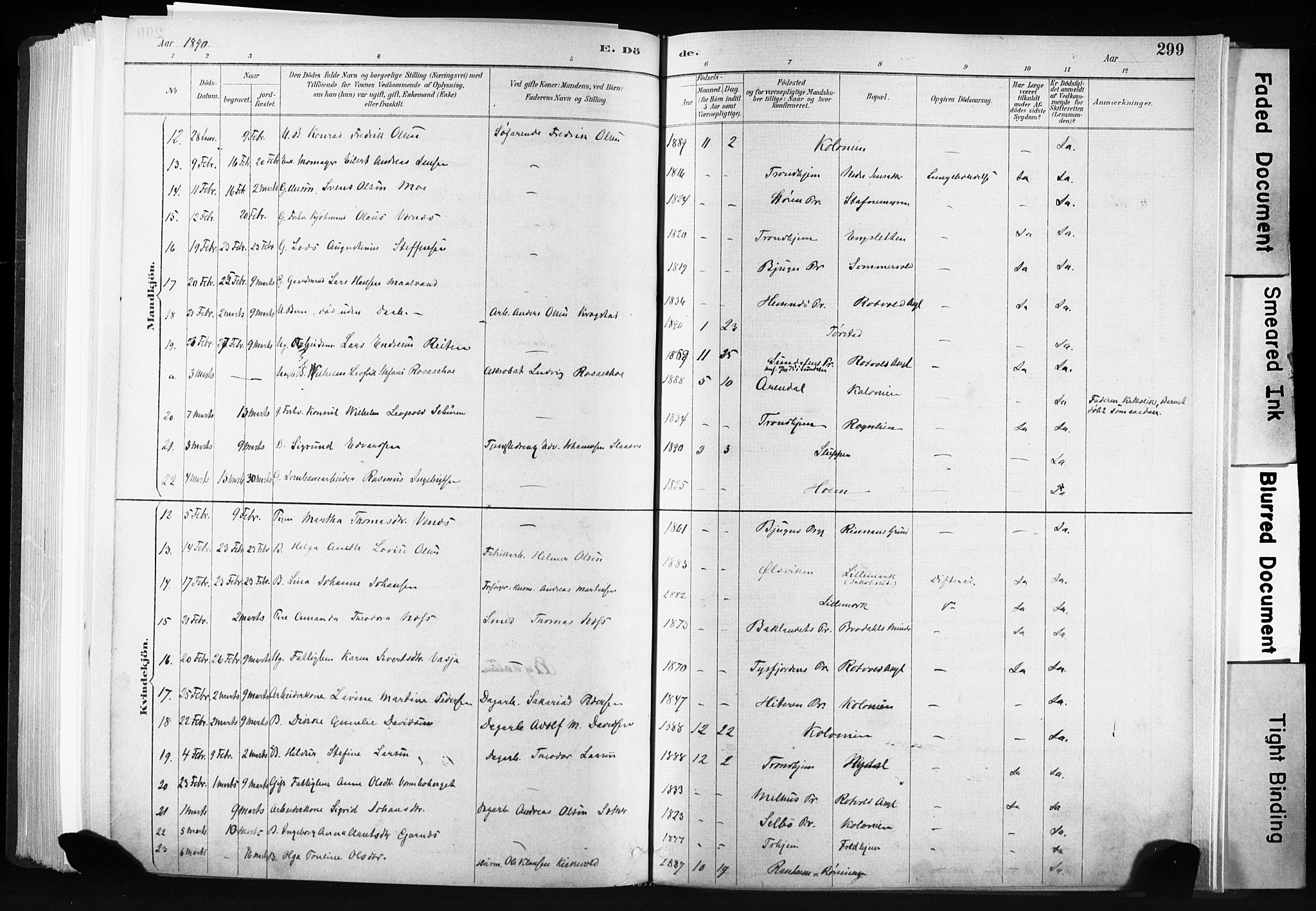 Ministerialprotokoller, klokkerbøker og fødselsregistre - Sør-Trøndelag, AV/SAT-A-1456/606/L0300: Parish register (official) no. 606A15, 1886-1893, p. 299