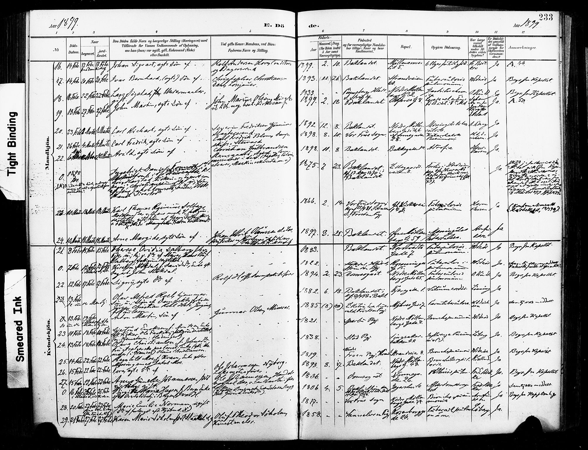 Ministerialprotokoller, klokkerbøker og fødselsregistre - Sør-Trøndelag, AV/SAT-A-1456/604/L0198: Parish register (official) no. 604A19, 1893-1900, p. 233