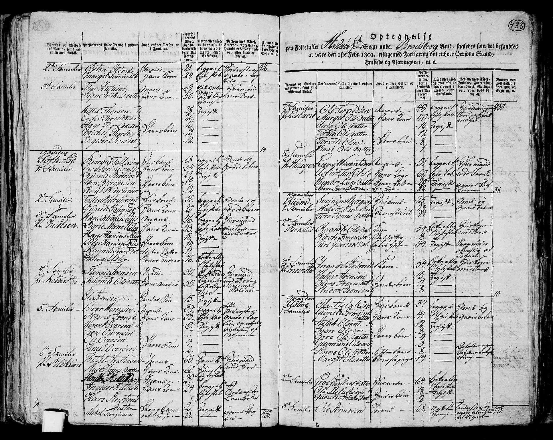 RA, 1801 census for 0829P Kviteseid, 1801, p. 432b-433a