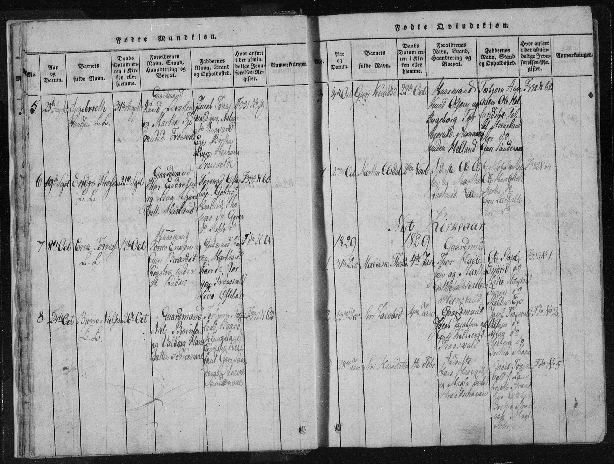 Vikedal sokneprestkontor, SAST/A-101840/01/IV: Parish register (official) no. A 4, 1816-1850, p. 19