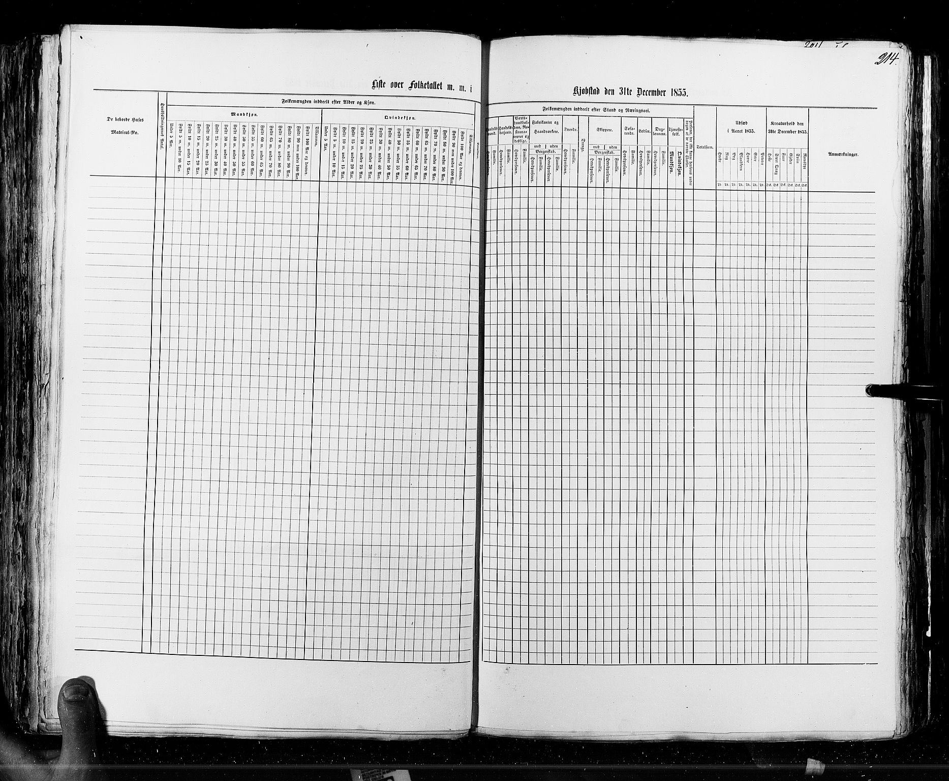 RA, Census 1855, vol. 7: Fredrikshald-Kragerø, 1855, p. 214