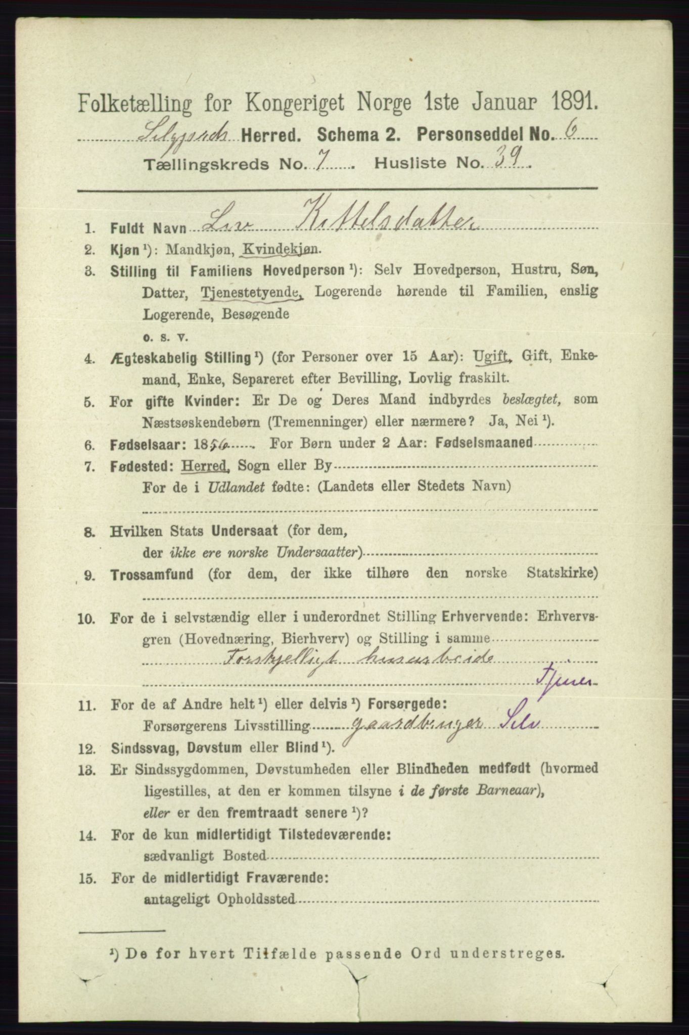 RA, 1891 census for 0828 Seljord, 1891, p. 2815