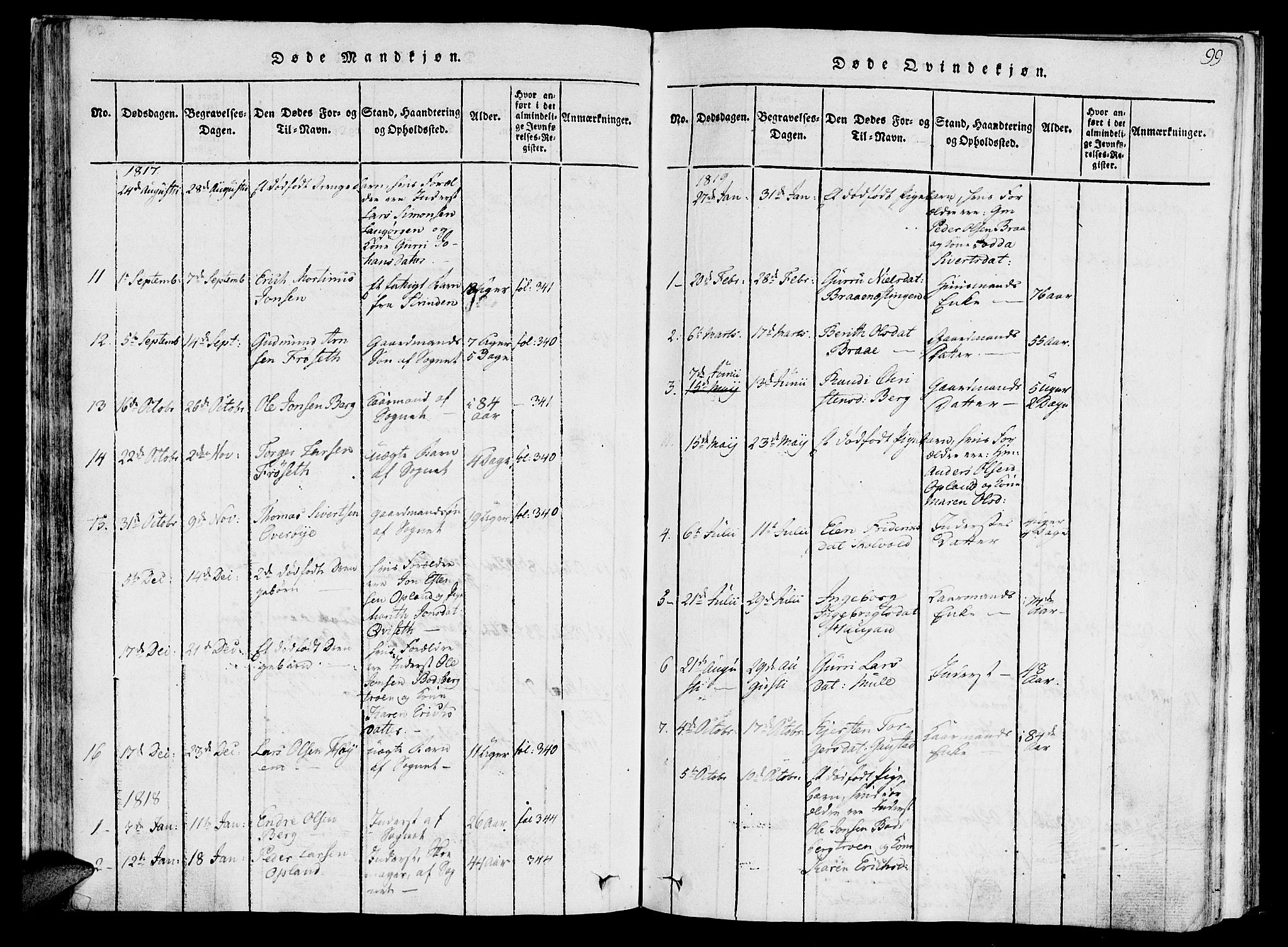 Ministerialprotokoller, klokkerbøker og fødselsregistre - Sør-Trøndelag, AV/SAT-A-1456/612/L0372: Parish register (official) no. 612A06 /1, 1816-1828, p. 99