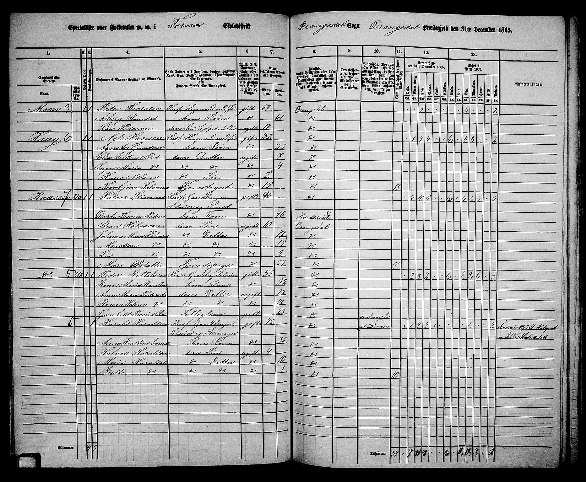 RA, 1865 census for Drangedal, 1865, p. 70