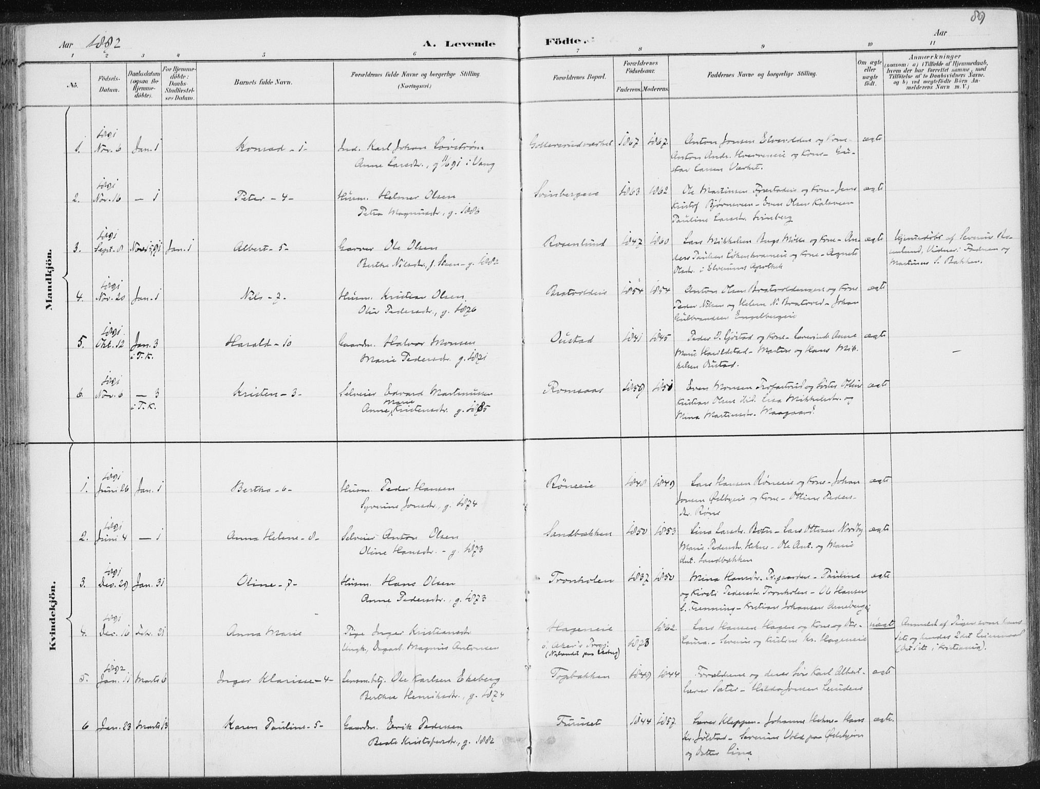 Romedal prestekontor, AV/SAH-PREST-004/K/L0010: Parish register (official) no. 10, 1880-1895, p. 89