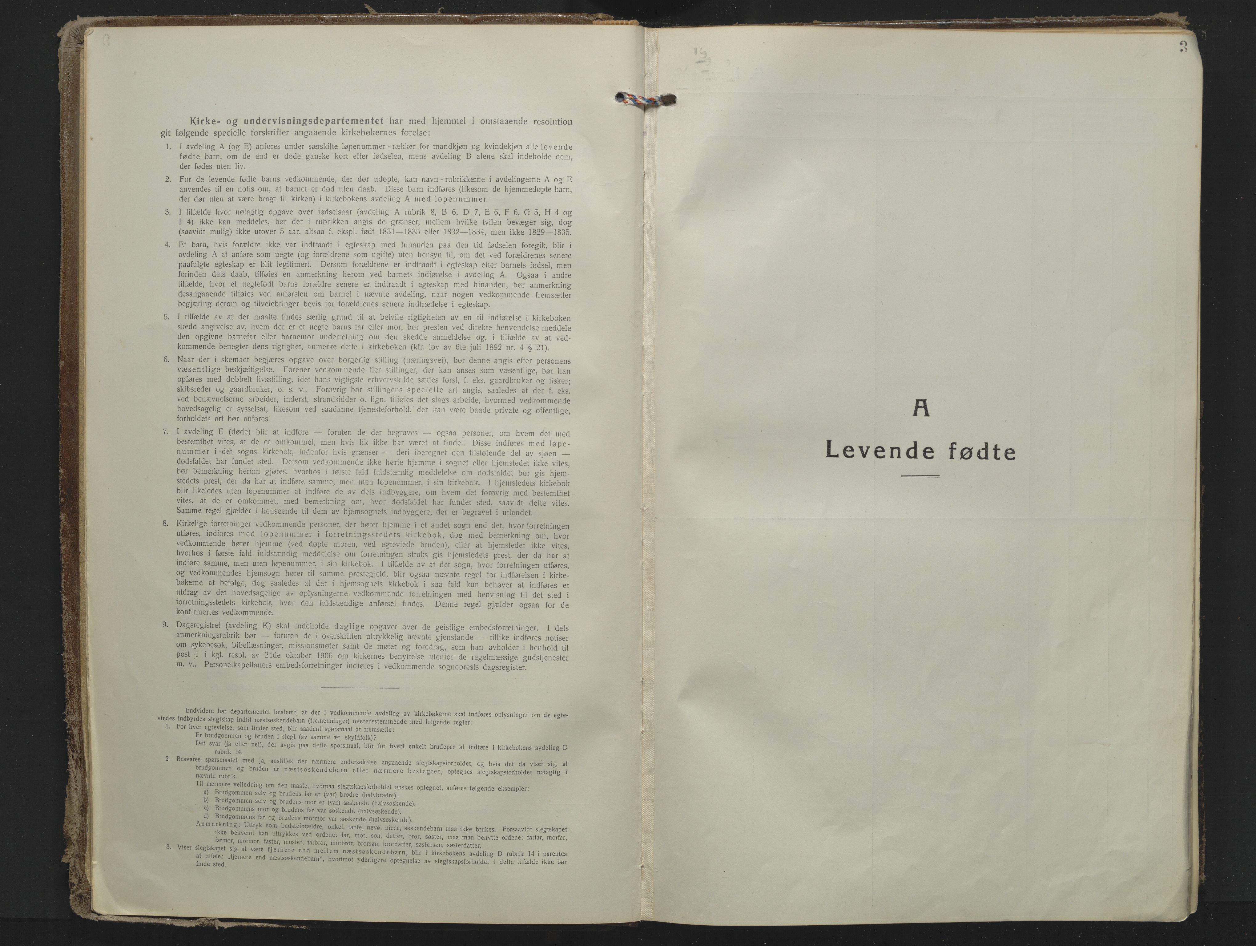 Sandar kirkebøker, AV/SAKO-A-243/F/Fa/L0022: Parish register (official) no. 22, 1919-1931, p. 3