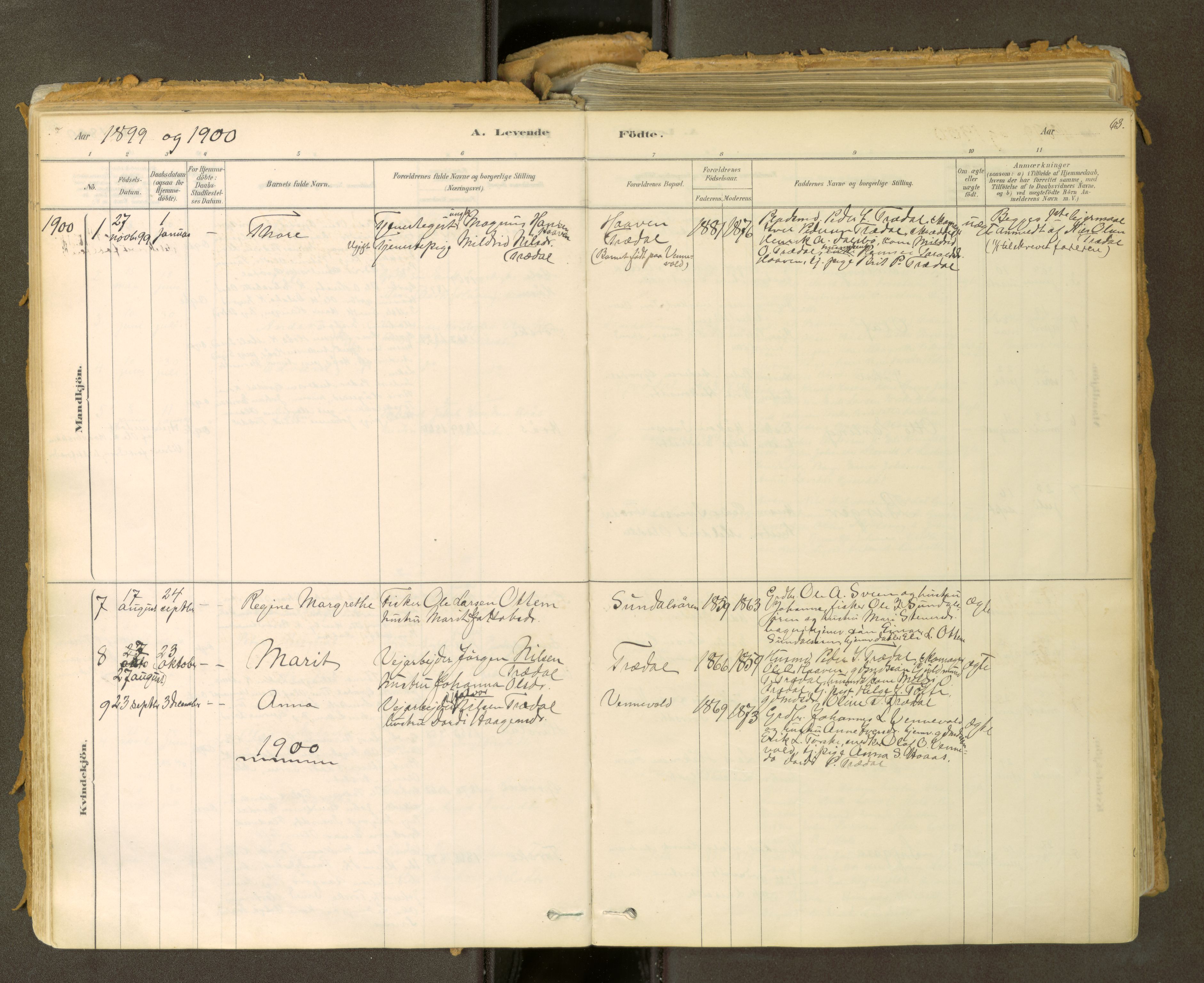 Sunndal sokneprestkontor, SAT/A-1085/1/I/I1/I1a: Parish register (official) no. 2, 1877-1914, p. 63